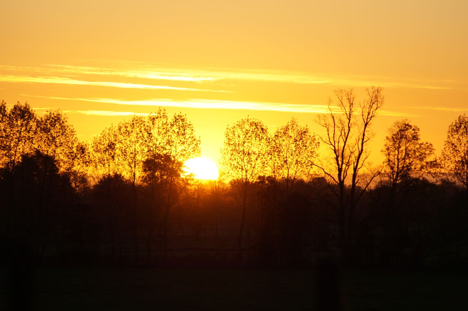Sony SLT-A58 + Sony DT 55-200mm F4-5.6 SAM sample photo. Sunset, landscape, silhouette photography