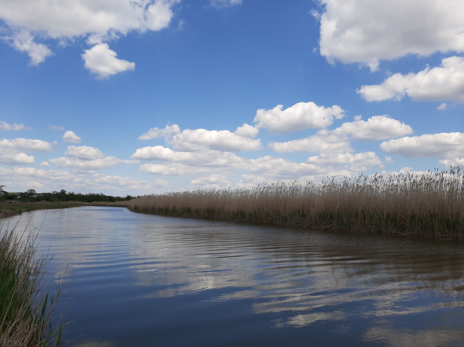 Samsung Galaxy A50 sample photo. Mius, river, sky photography