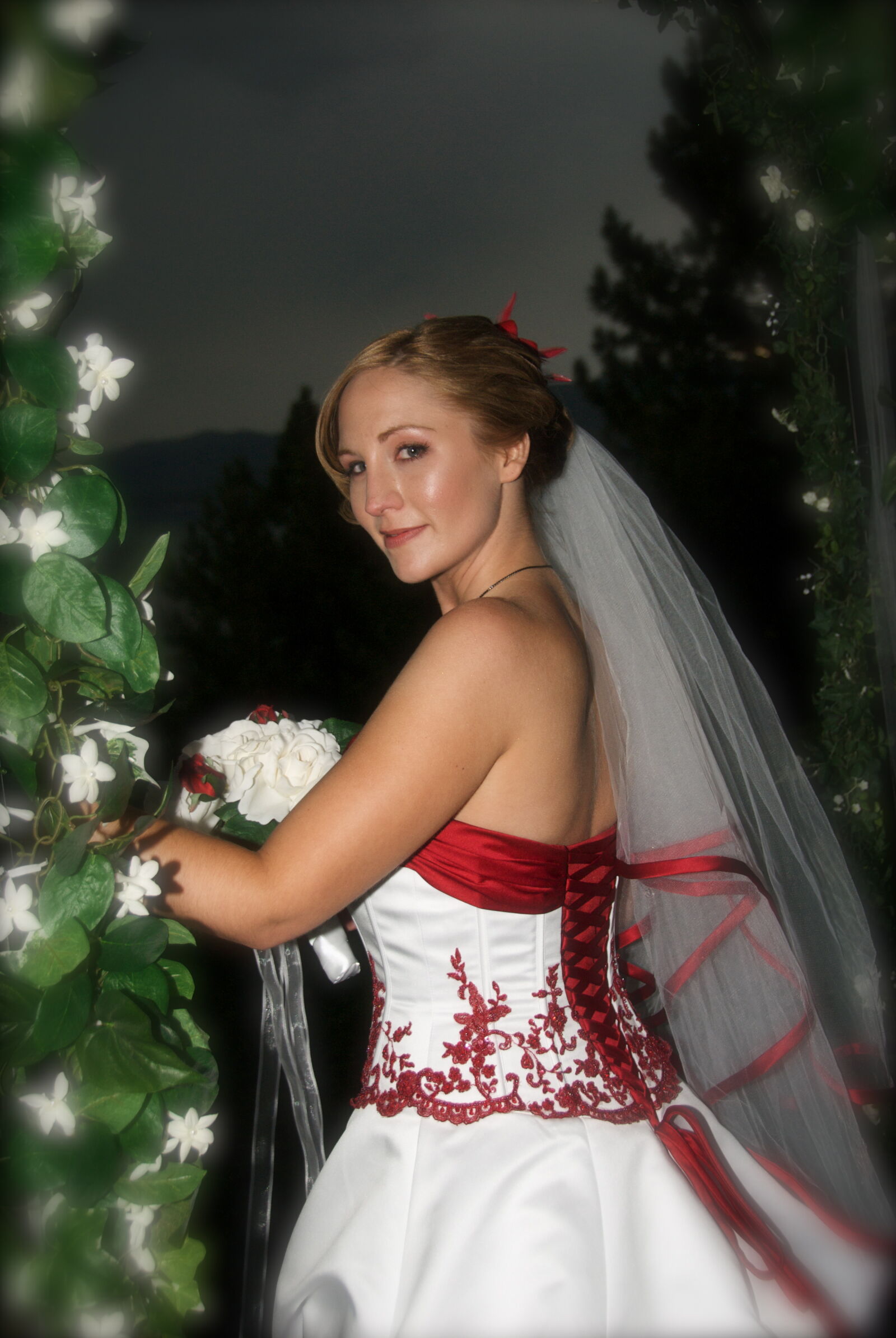 Nikon D200 sample photo. Bridal, bridal, dress, love photography