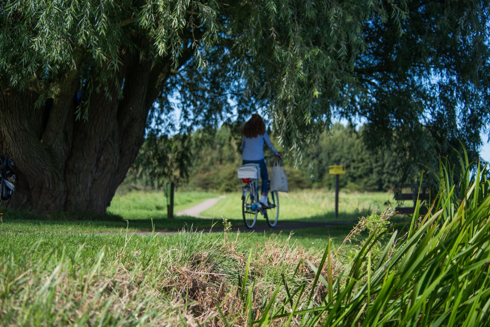 Nikon D600 sample photo. Bicycle, woman, park photography