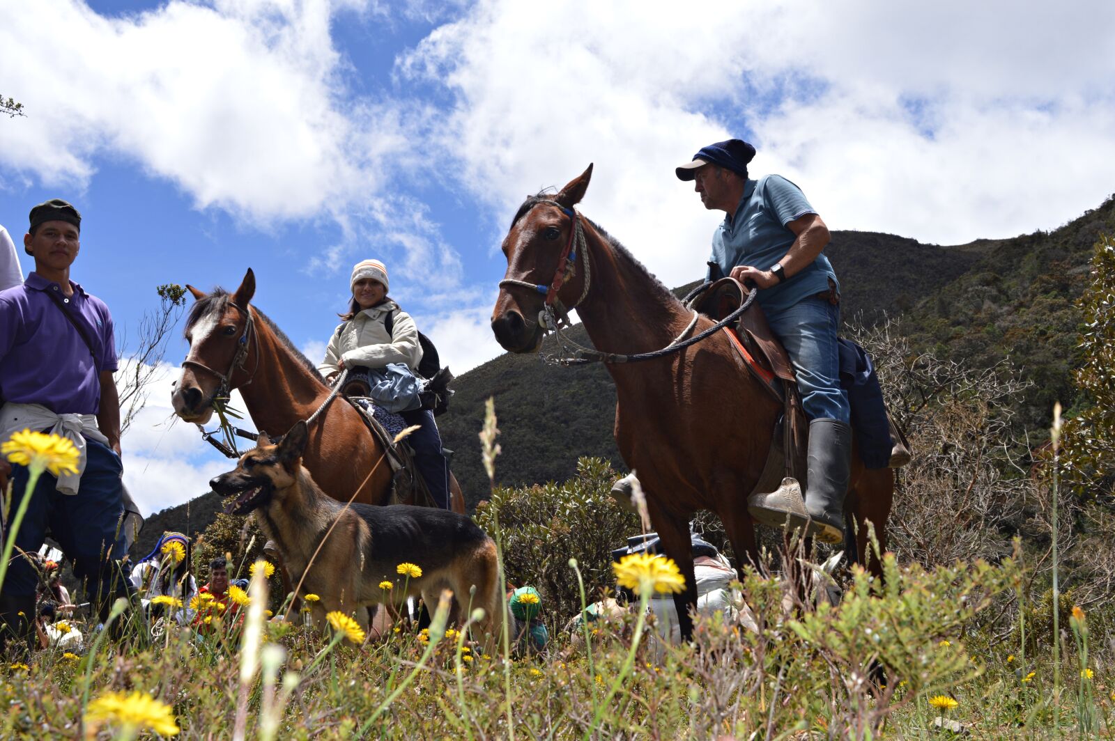 Nikon D3200 sample photo. Horses, sky, people photography