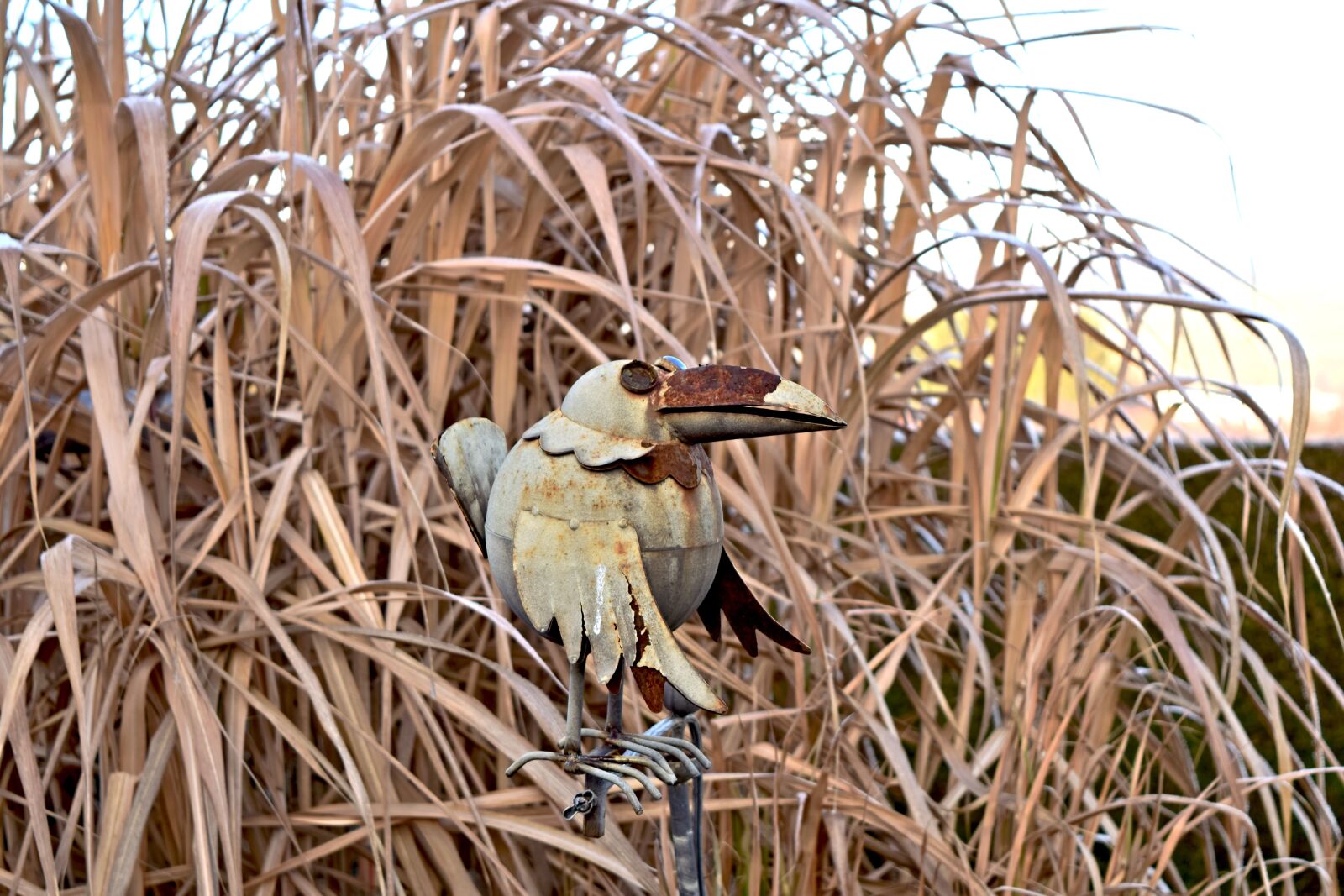 Nikon D3300 sample photo. Reed, bird, metal figure photography