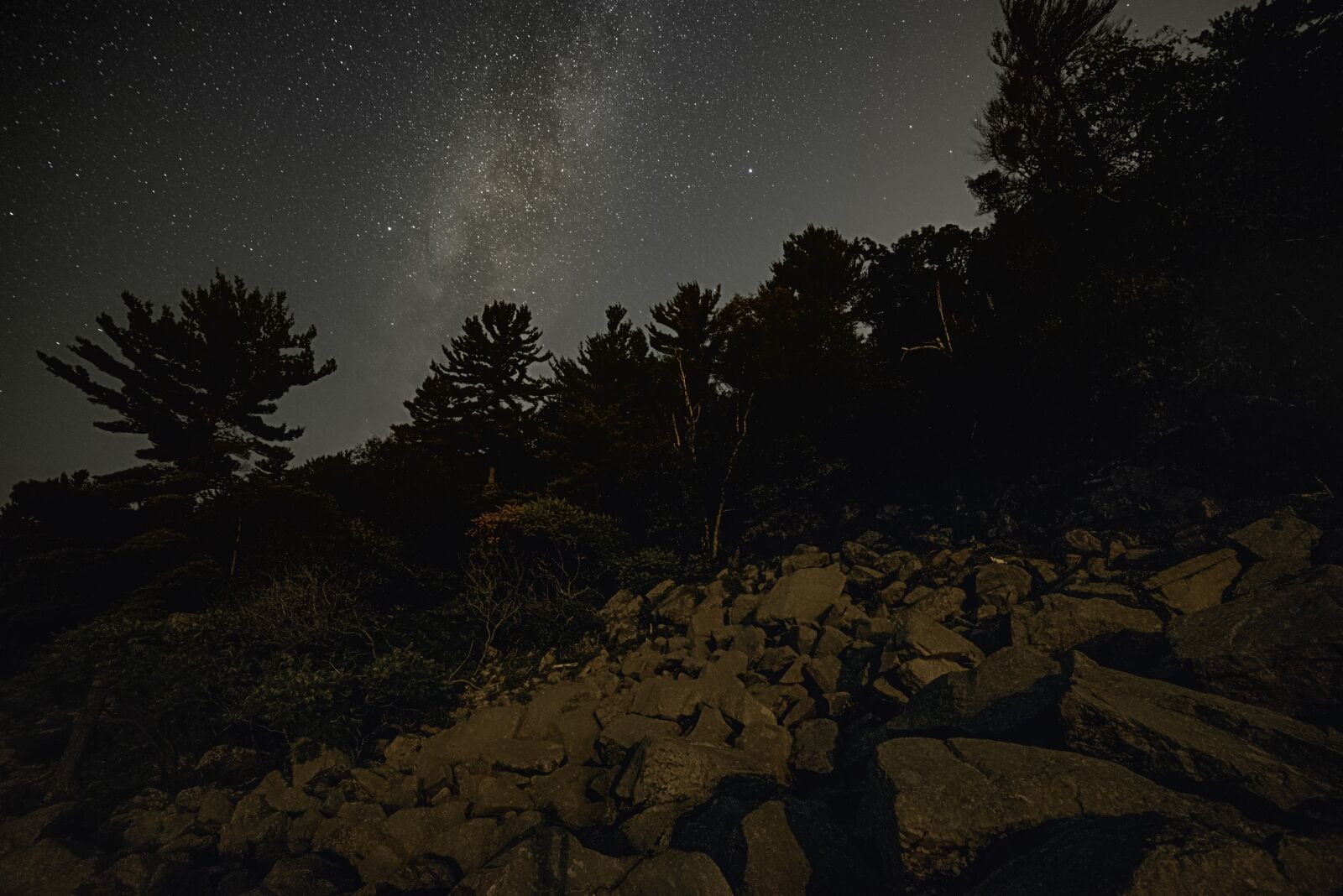 Nikon D750 sample photo. Galaxy, milky way, stars photography