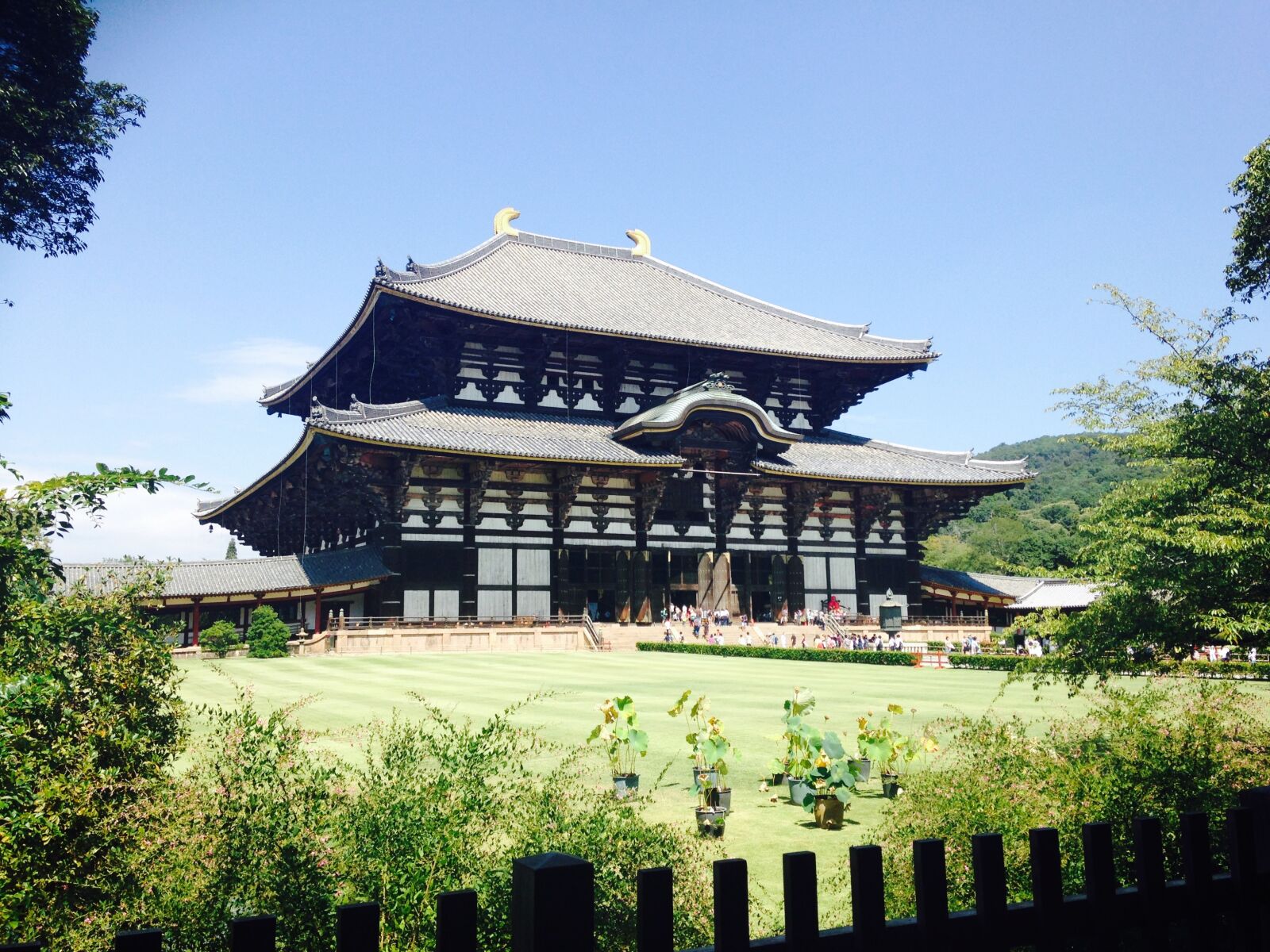 Apple iPhone 5c sample photo. Japan, sanctuary, buddha photography