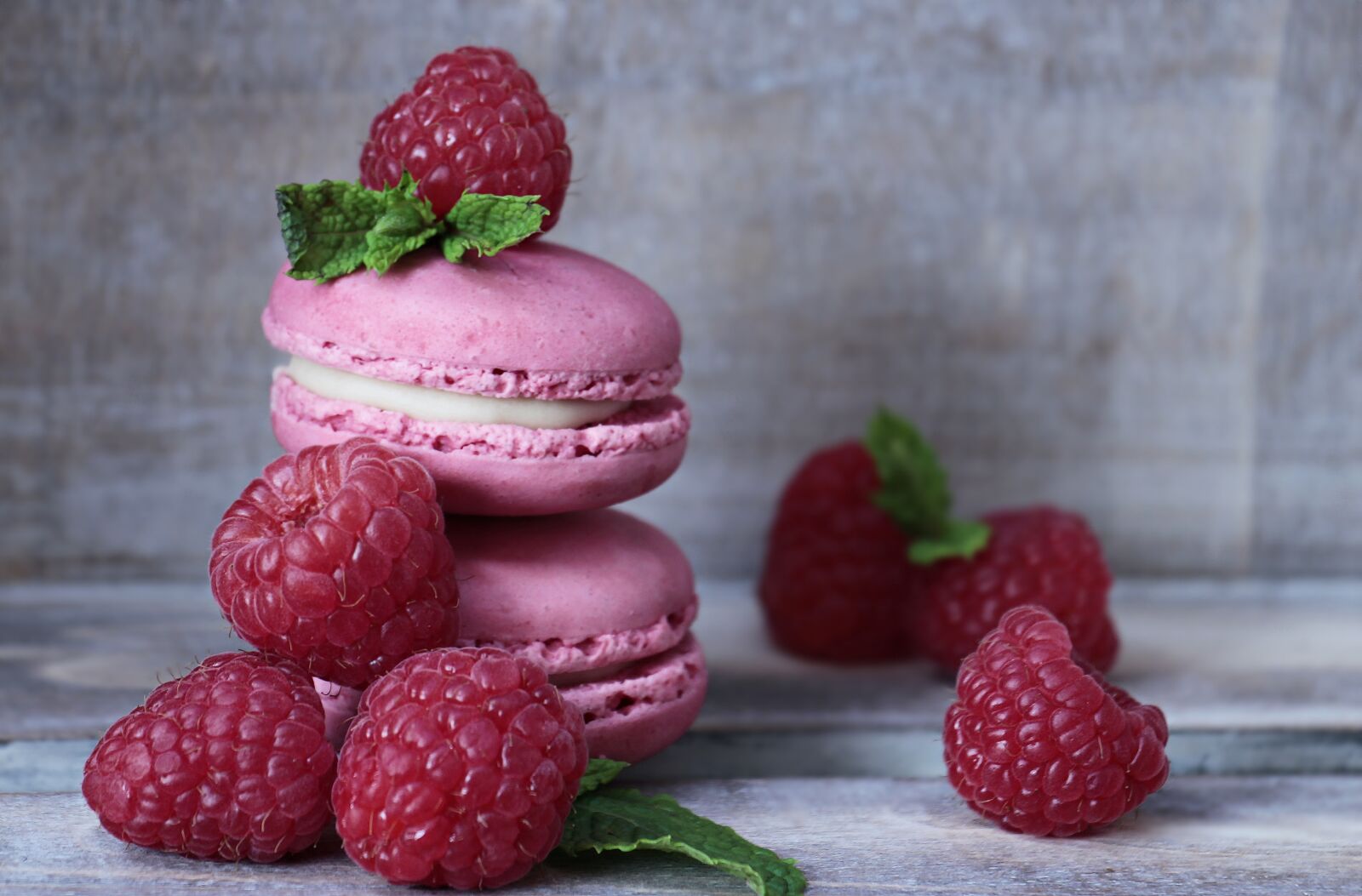 Canon EOS 100D (EOS Rebel SL1 / EOS Kiss X7) sample photo. Macarons, raspberries, mint photography