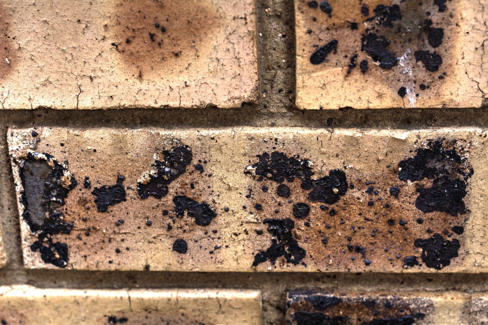 Nikon D5200 sample photo. Brick, cement, wall photography