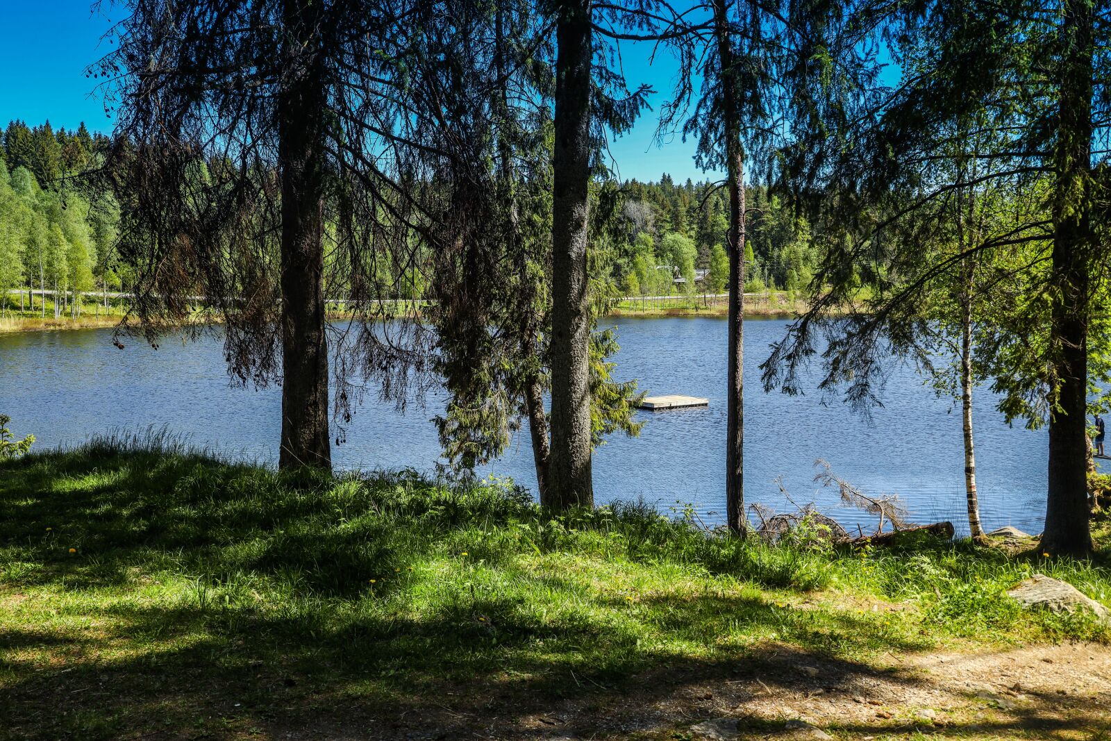 Canon EOS R sample photo. Water, lake, reflection photography