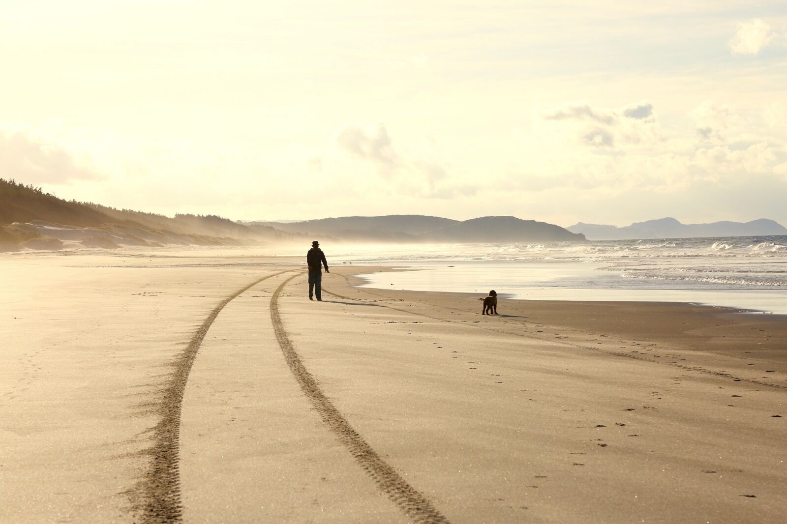 Canon EF 24-105mm F4L IS USM sample photo. Beach, person, dog photography