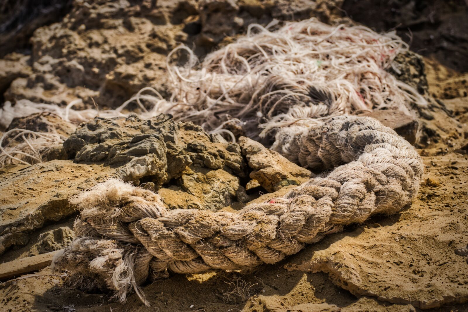 Nikon D5300 sample photo. Flotsam, rope, refreshed from photography