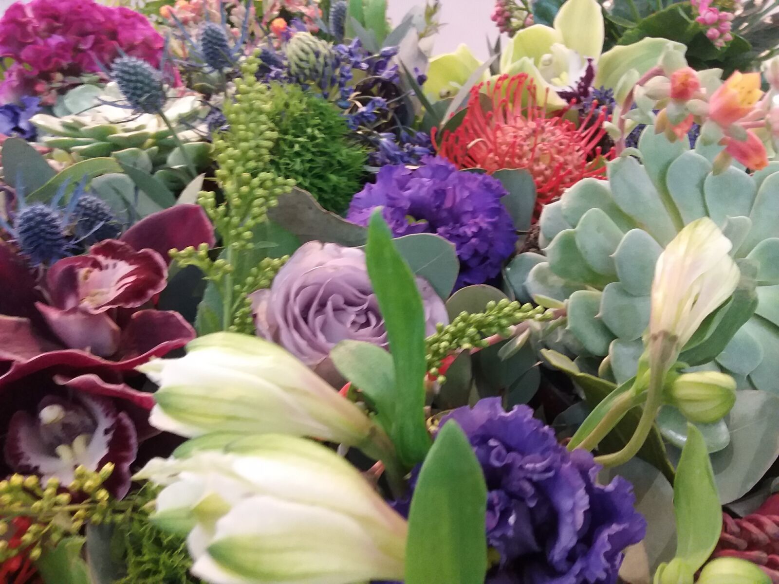 Samsung Galaxy J3(2016) sample photo