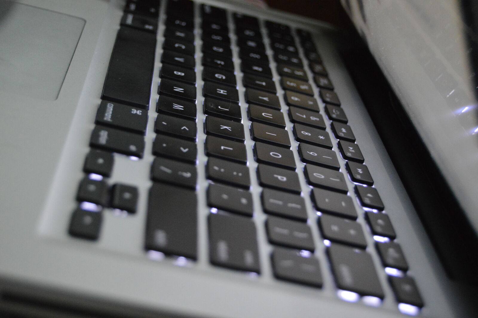 Nikon D3200 sample photo