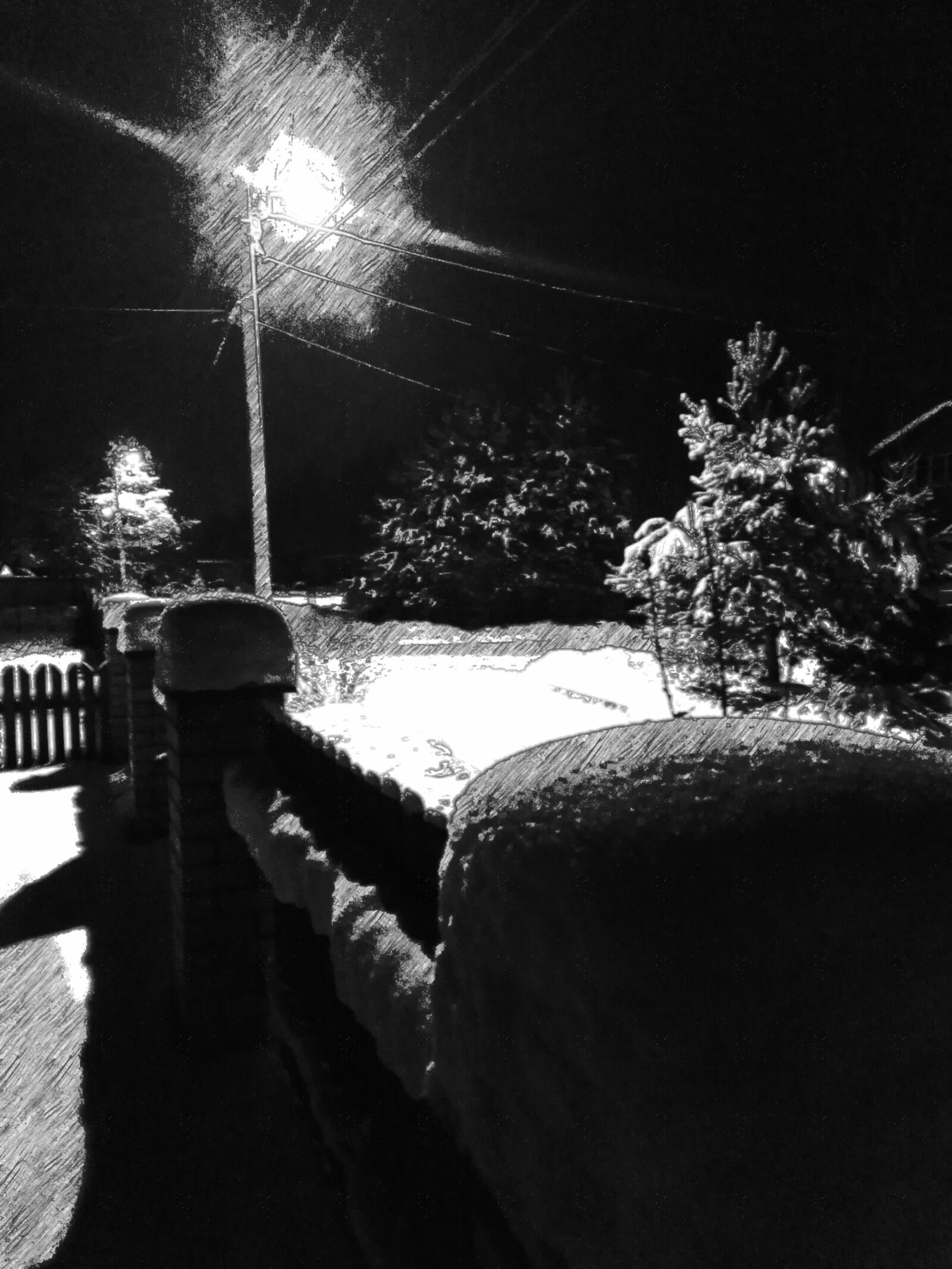 HUAWEI Honor 7C sample photo. Black and white, snow photography