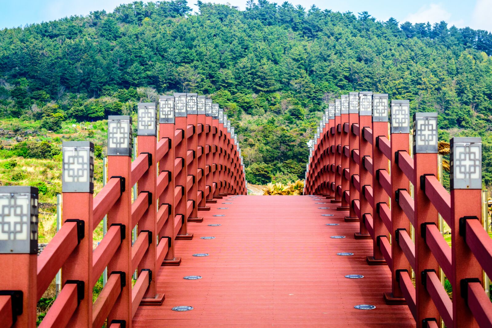 Nikon D5300 sample photo. Bridge, trees, nature photography