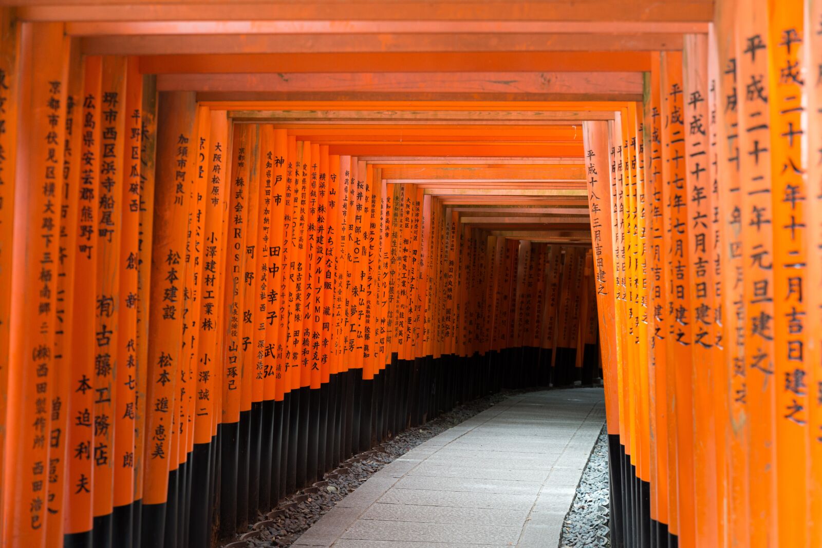 Nikon D610 sample photo. Path, tunnel, inari photography