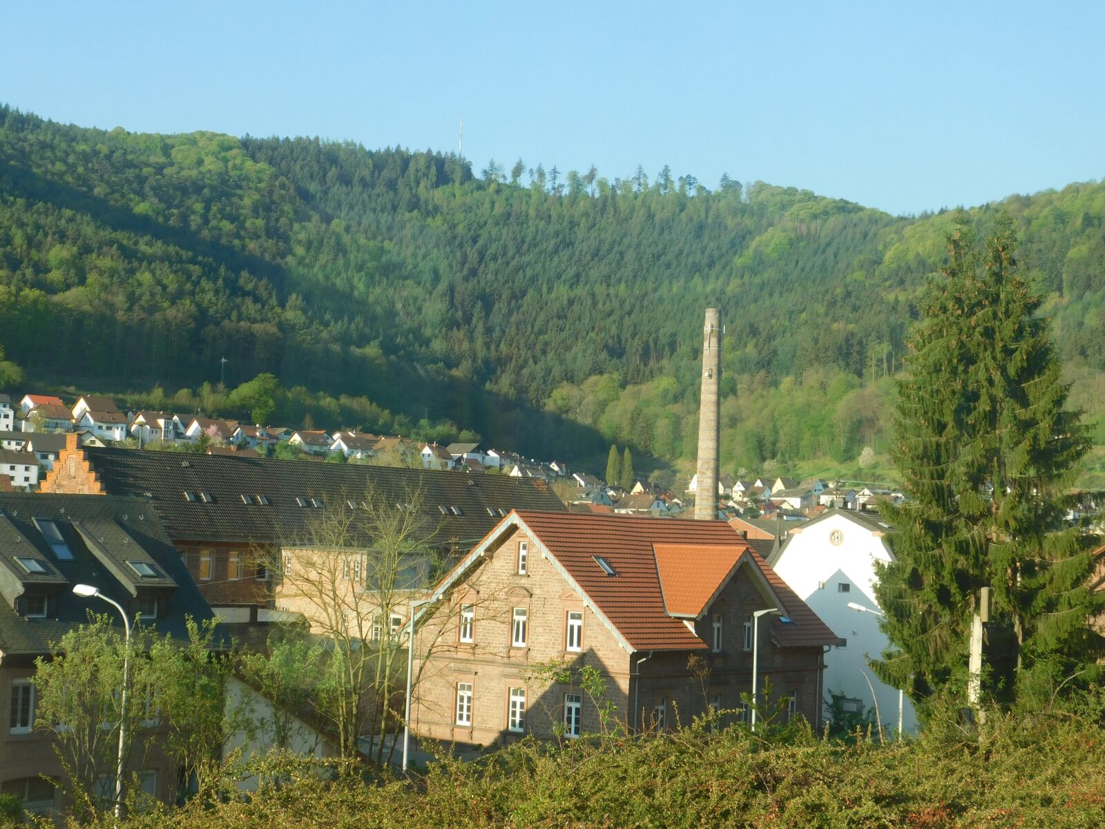 Nikon Coolpix B500 sample photo. Lambrecht, palatinate, chimney photography