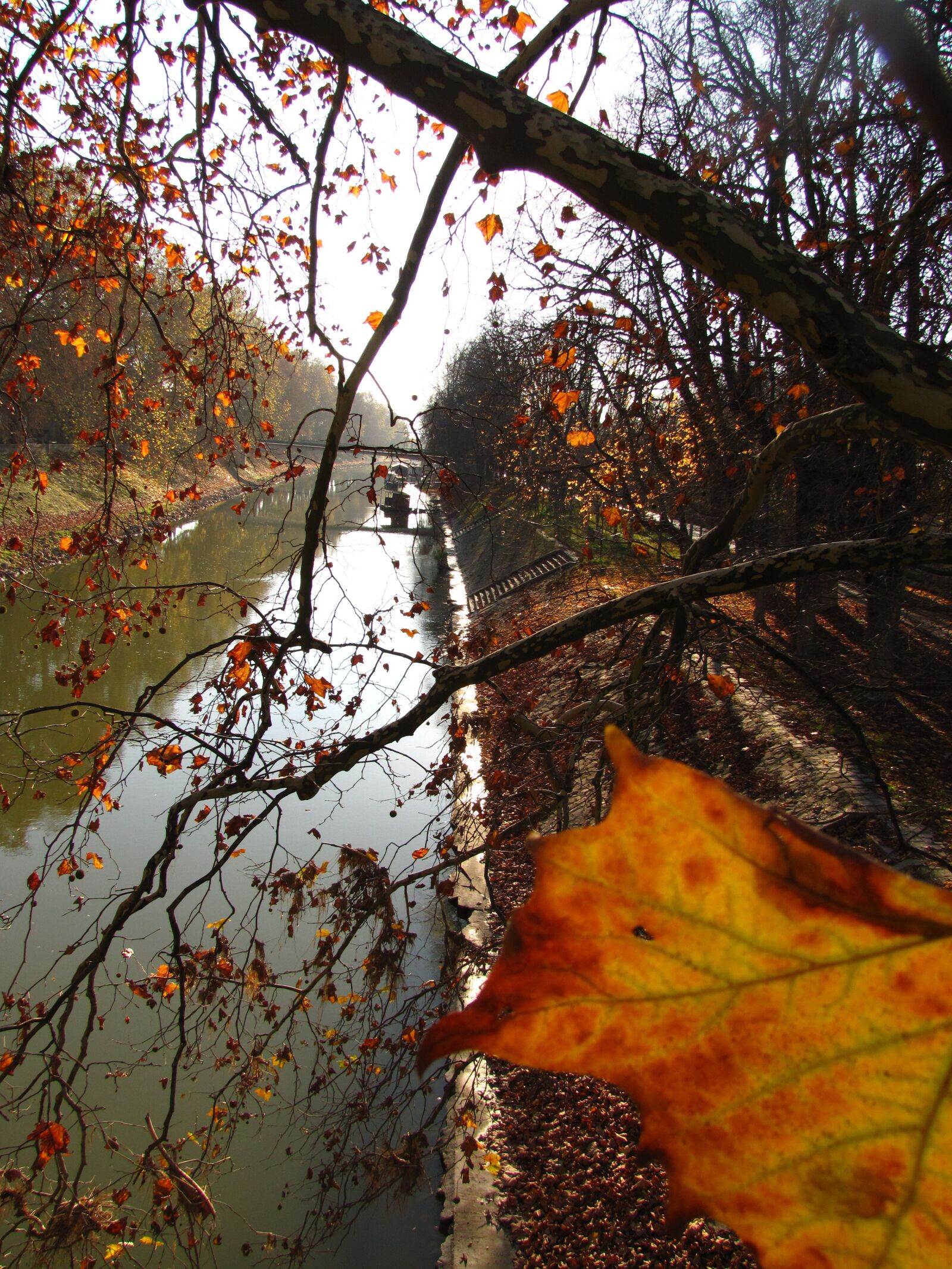 Canon PowerShot SX20 IS sample photo. River, leaves, autumn photography