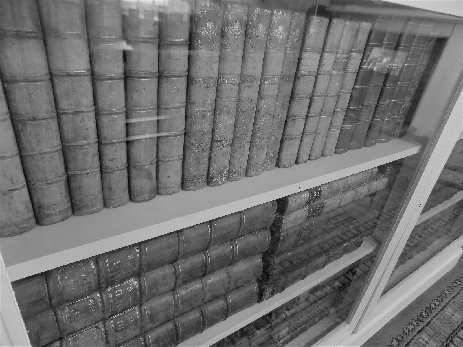 Nikon COOLPIX L340 sample photo. Old, books, library photography