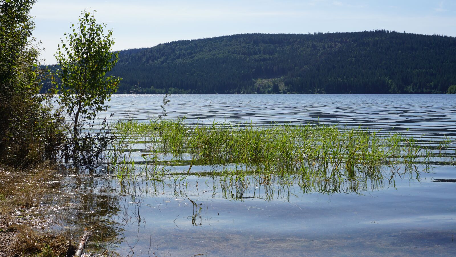 Sony E 16-50mm F3.5-5.6 PZ OSS sample photo. Schluchsee, water, black forest photography