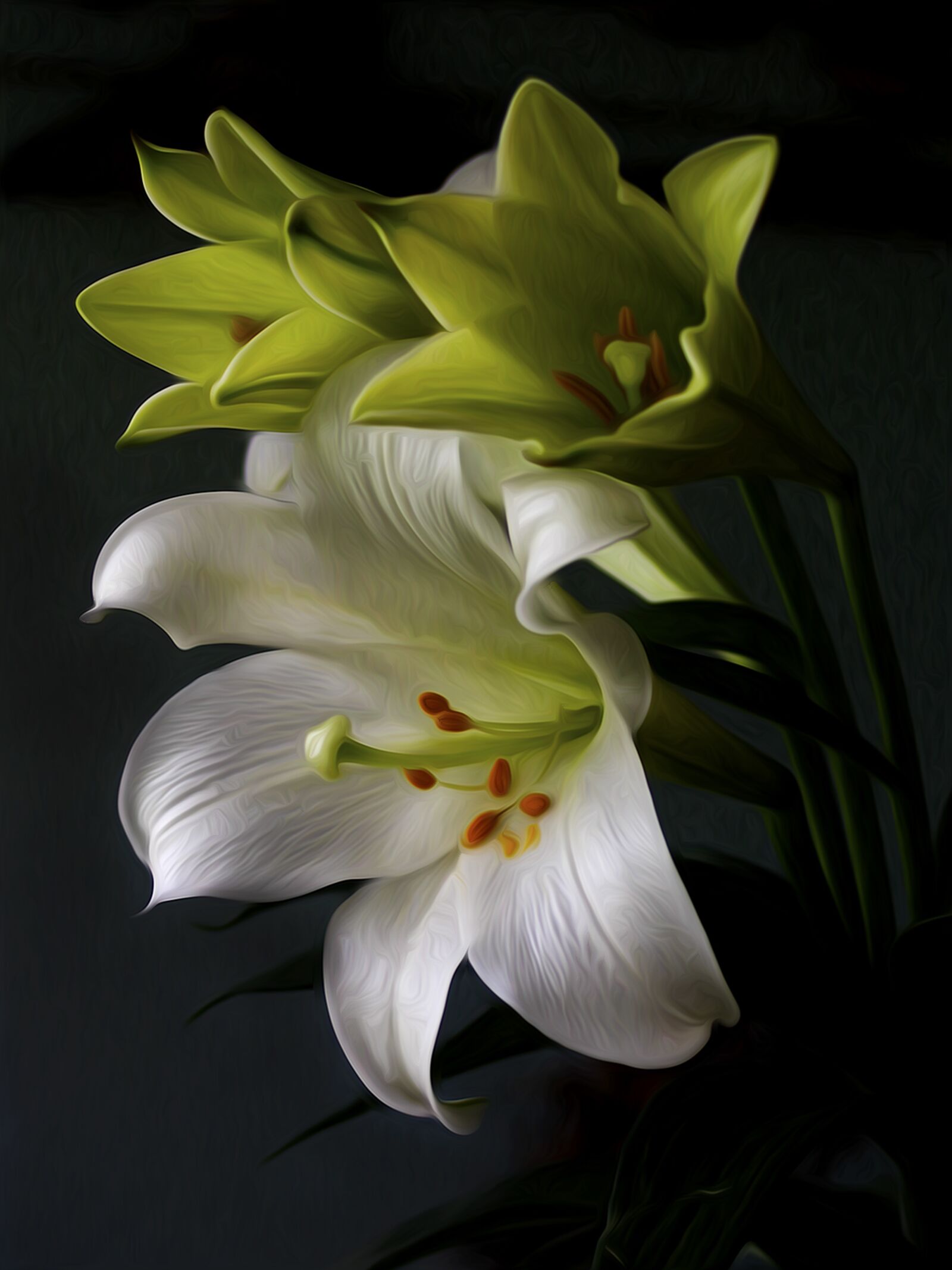 Canon EF 35-80mm F4.0-5.6 III sample photo. Lily, flower, plant photography
