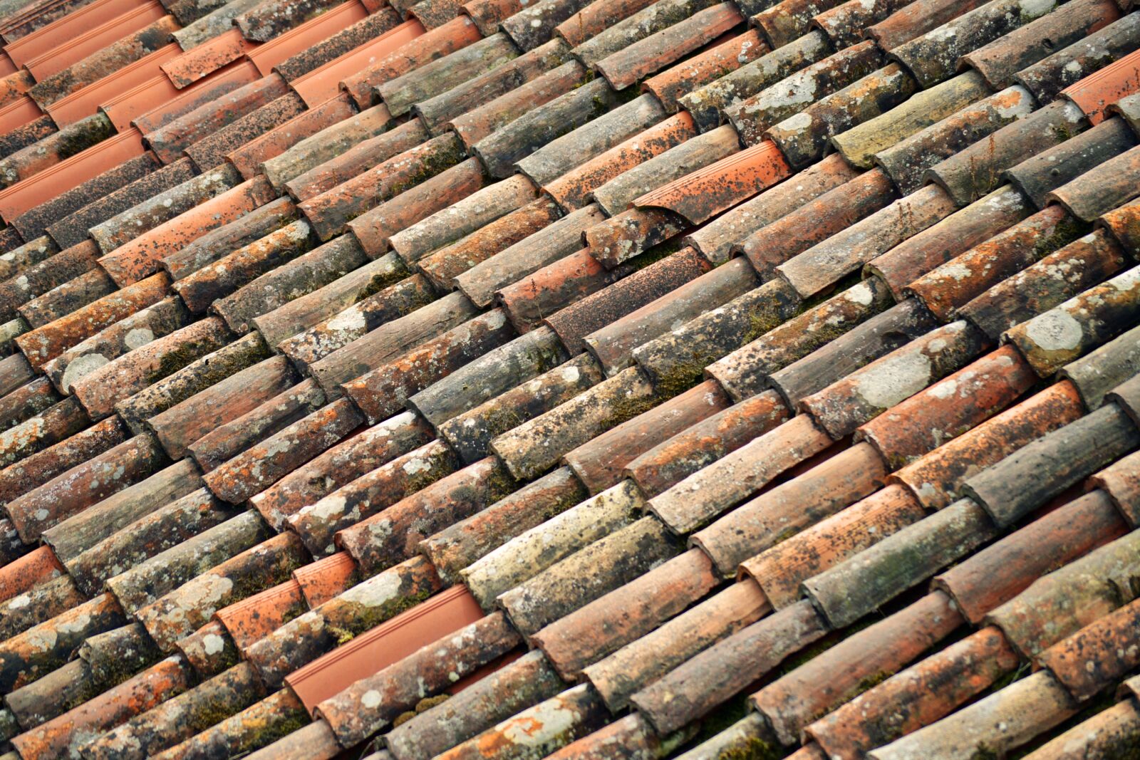 Nikon D3200 sample photo. Italian, roof, tiles photography