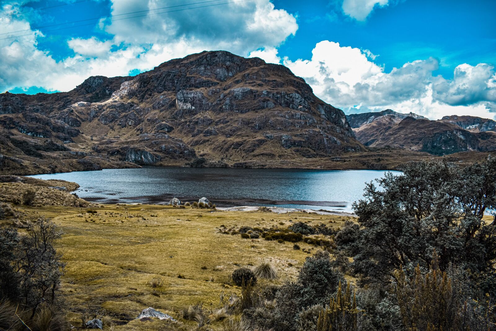 Nikon D5600 sample photo. Naturaleza, cuenca, ecuador photography