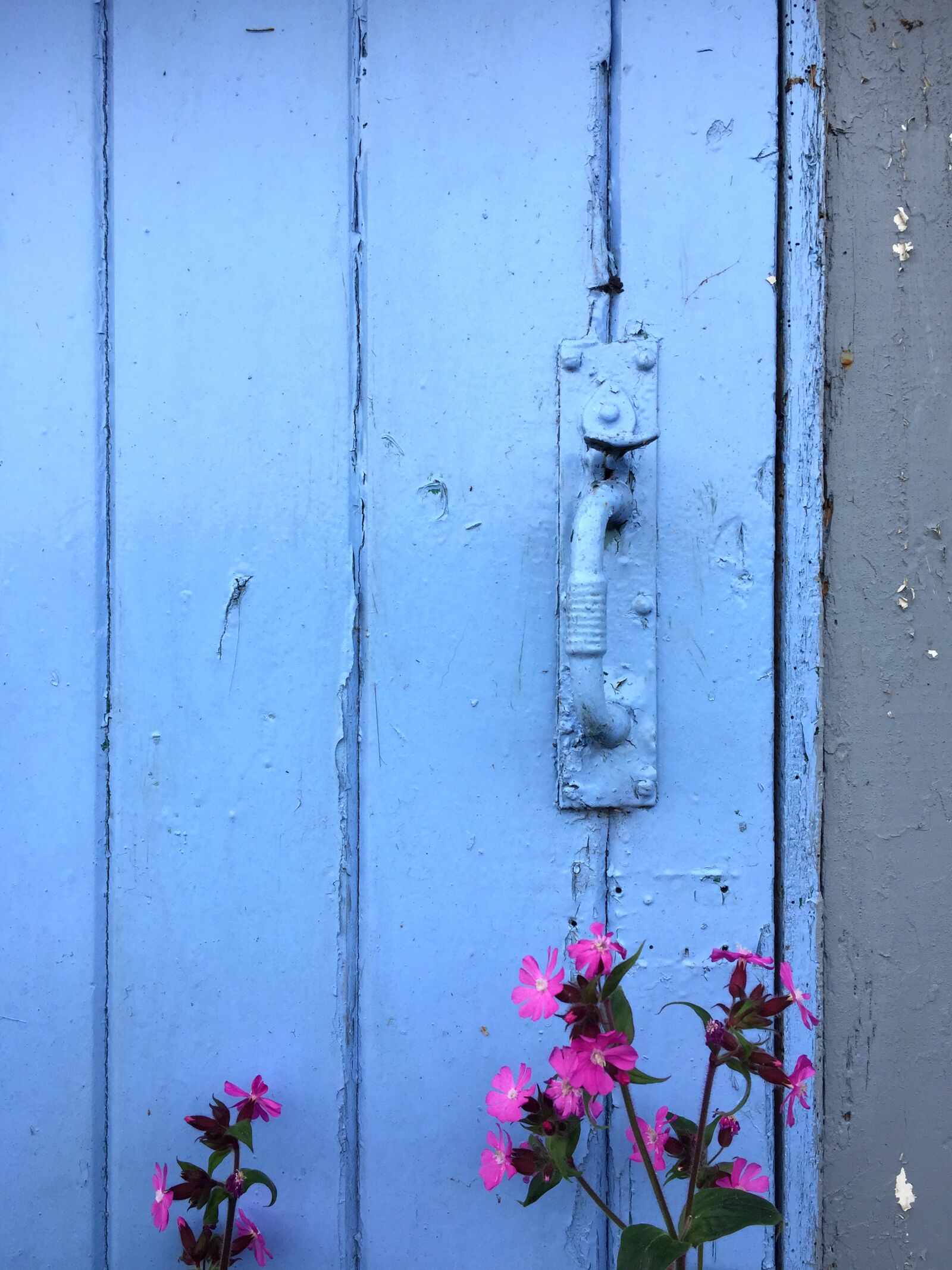 Apple iPhone 6 sample photo. Country cottage, old door photography