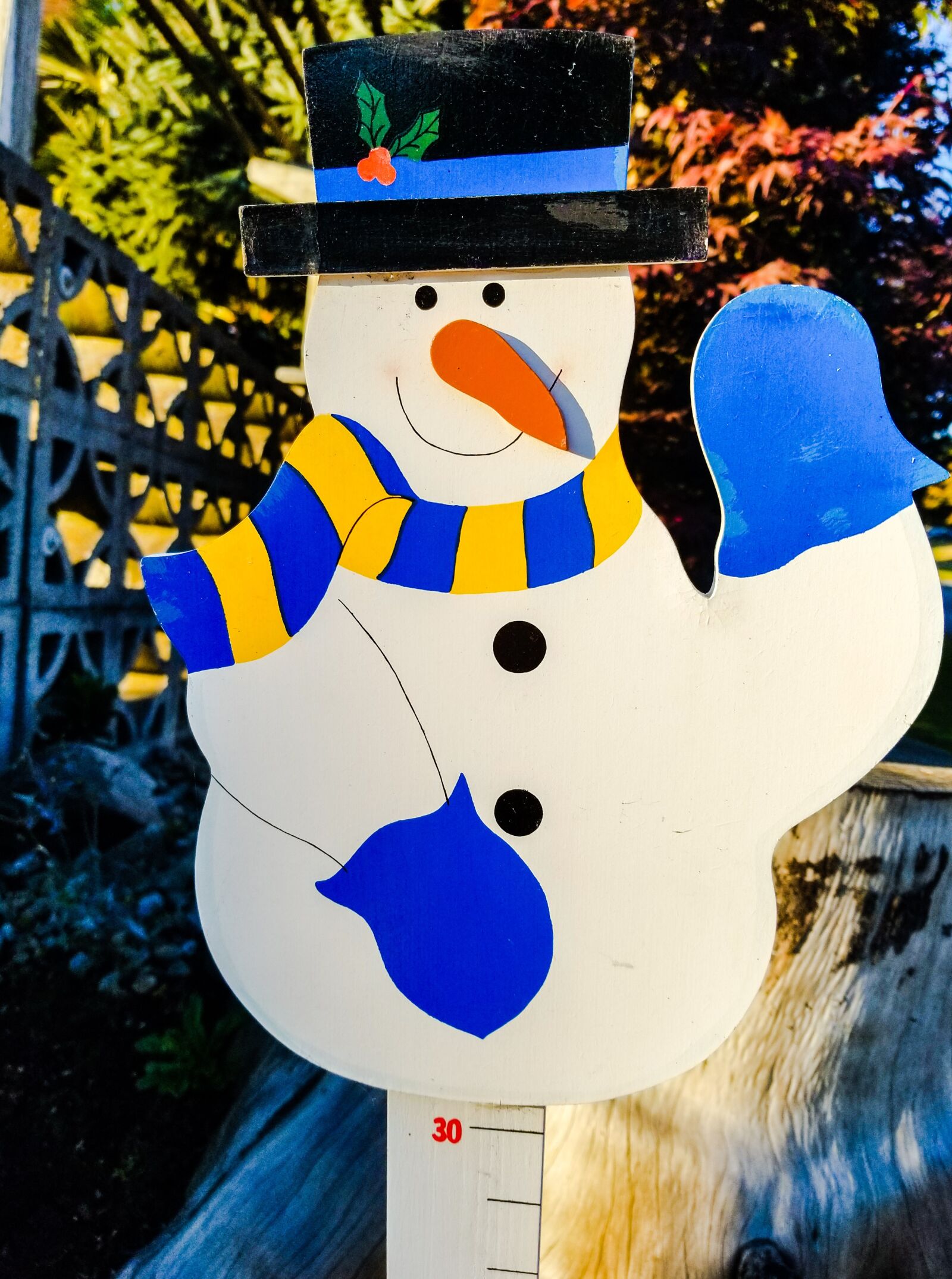 Samsung Galaxy S8+ sample photo. Snowman, display, winter photography