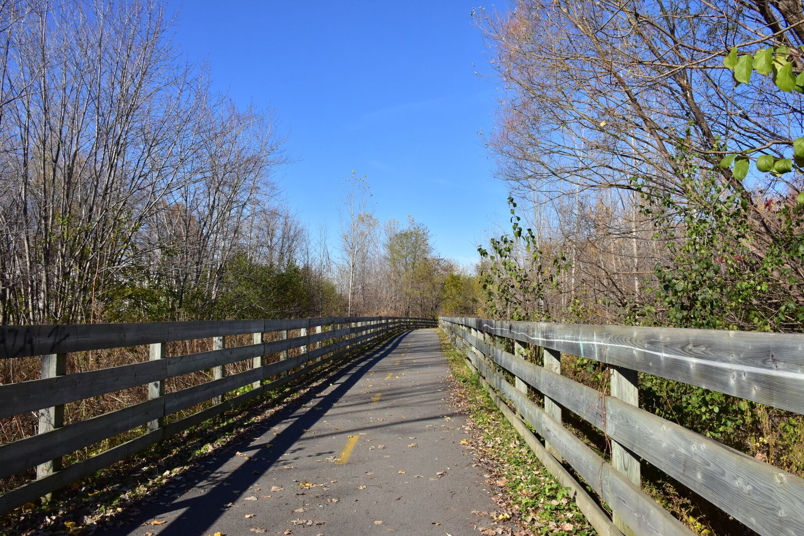 Nikon D7200 sample photo. Bike road, track, path photography