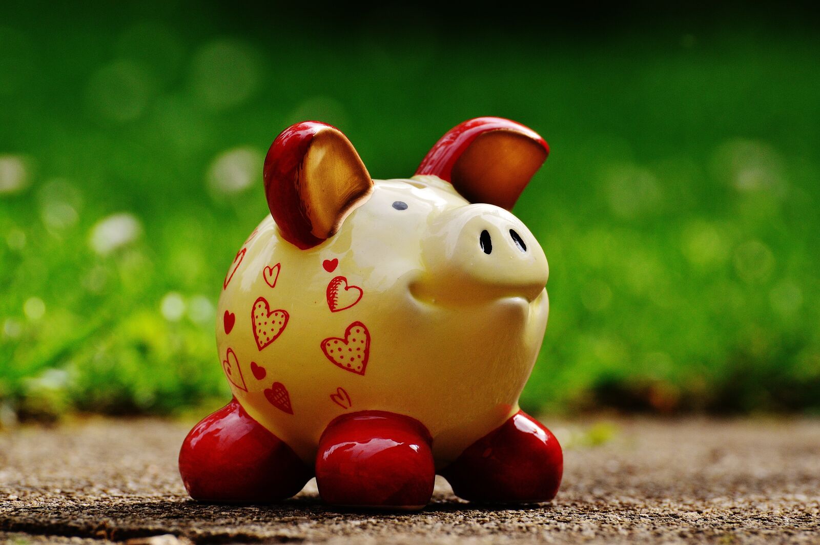 Nikon D3200 sample photo. Piggy bank, heart, funny photography
