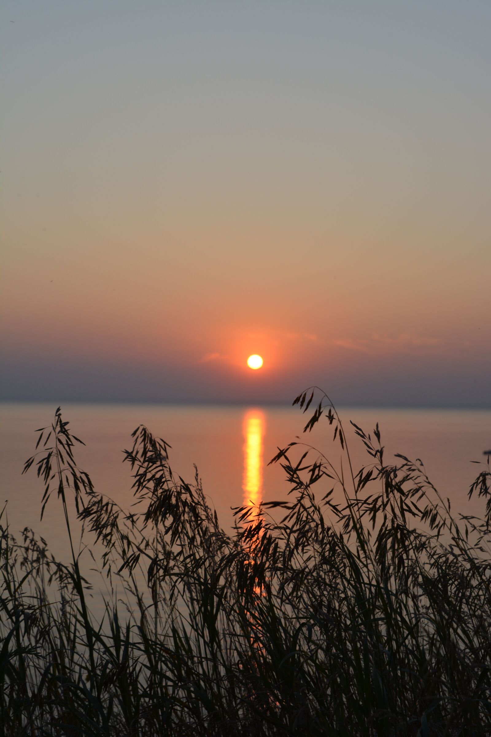 Nikon D5200 sample photo. Sunset, orange, sunrise photography
