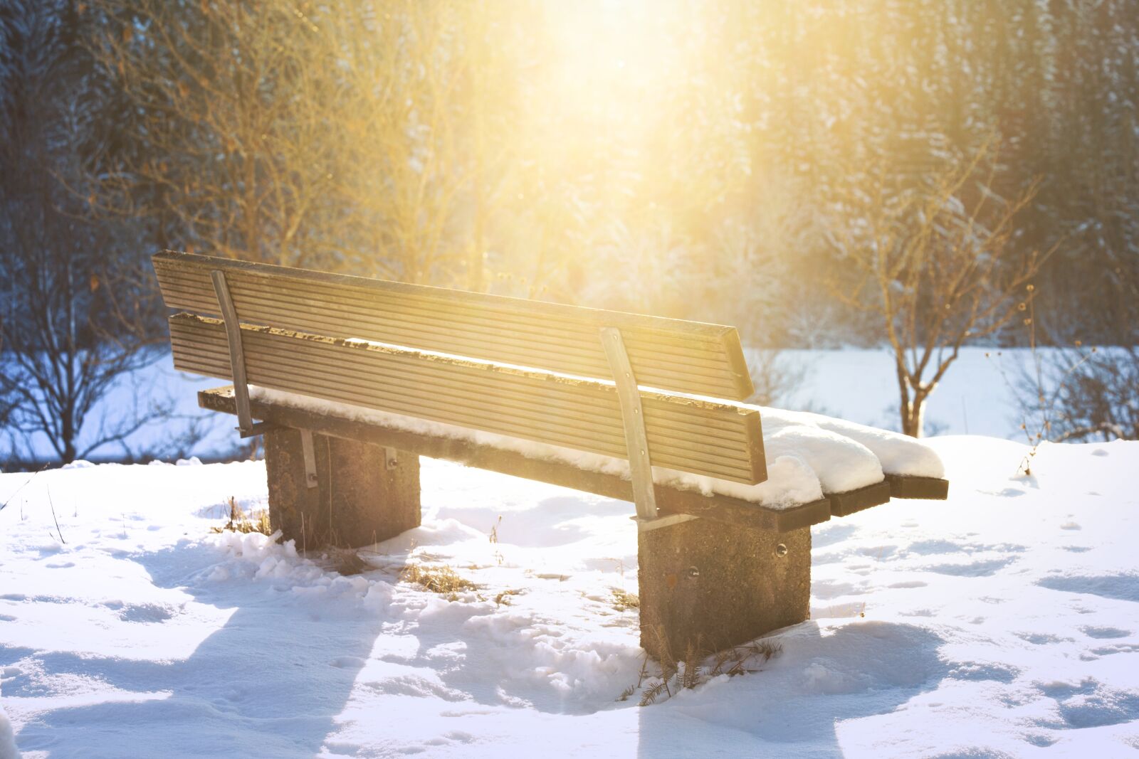 Canon EF 70-300mm F4-5.6 IS USM sample photo. Bench, lonely, bank photography