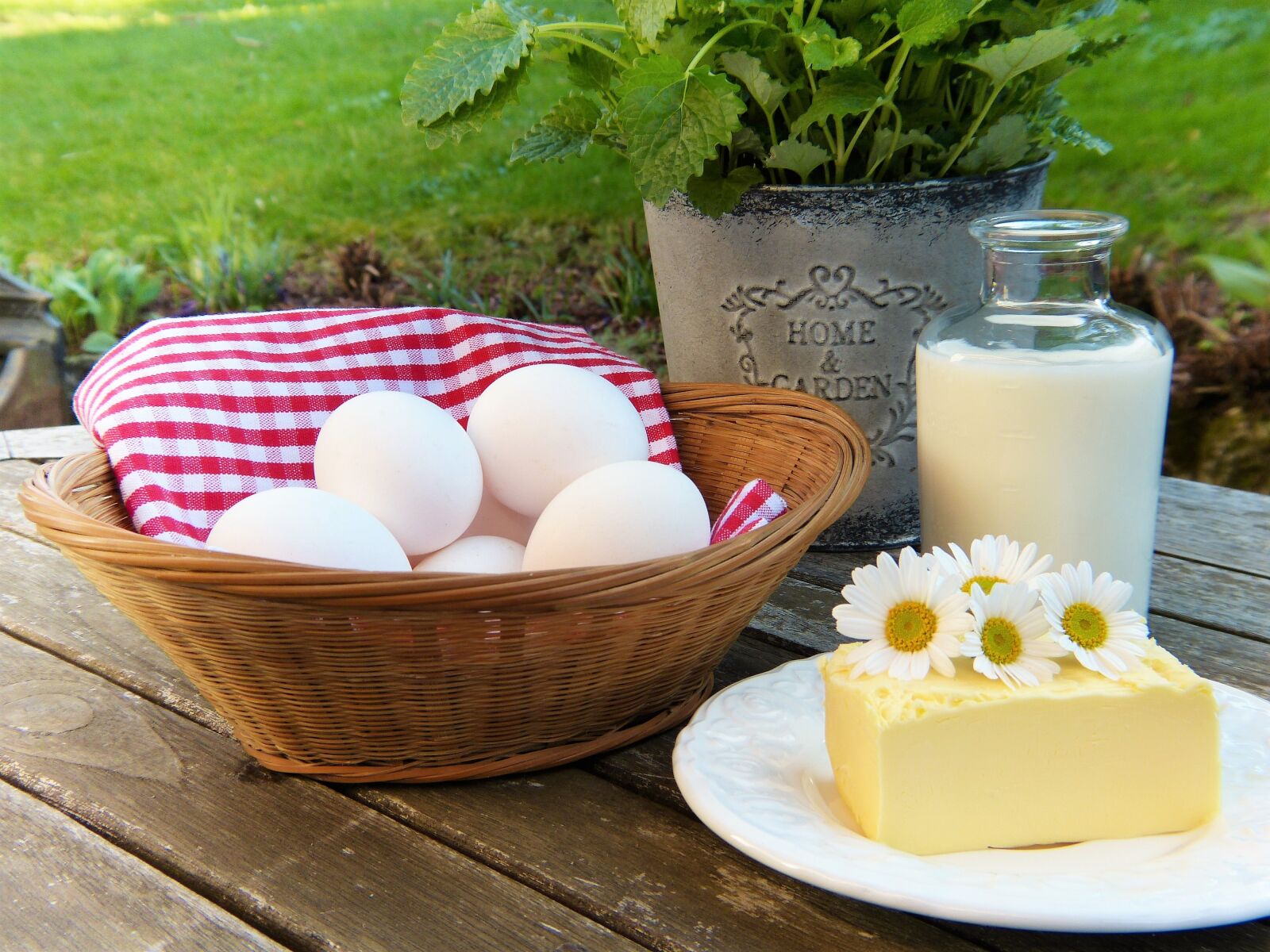 Panasonic Lumix DMC-FZ150 sample photo. Egg, milk, butter photography