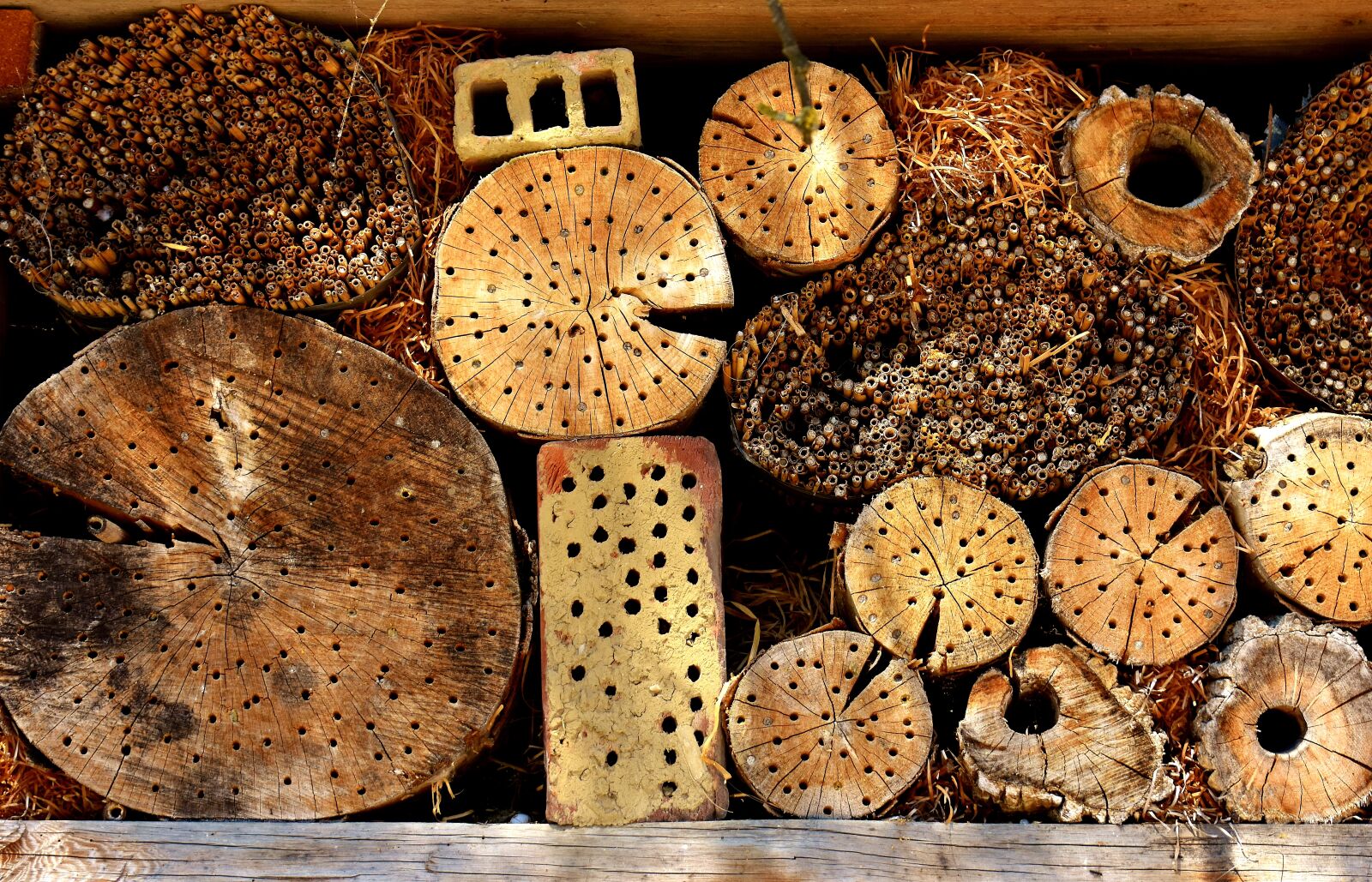 Nikon D7200 sample photo. Insect hotel, insect house photography