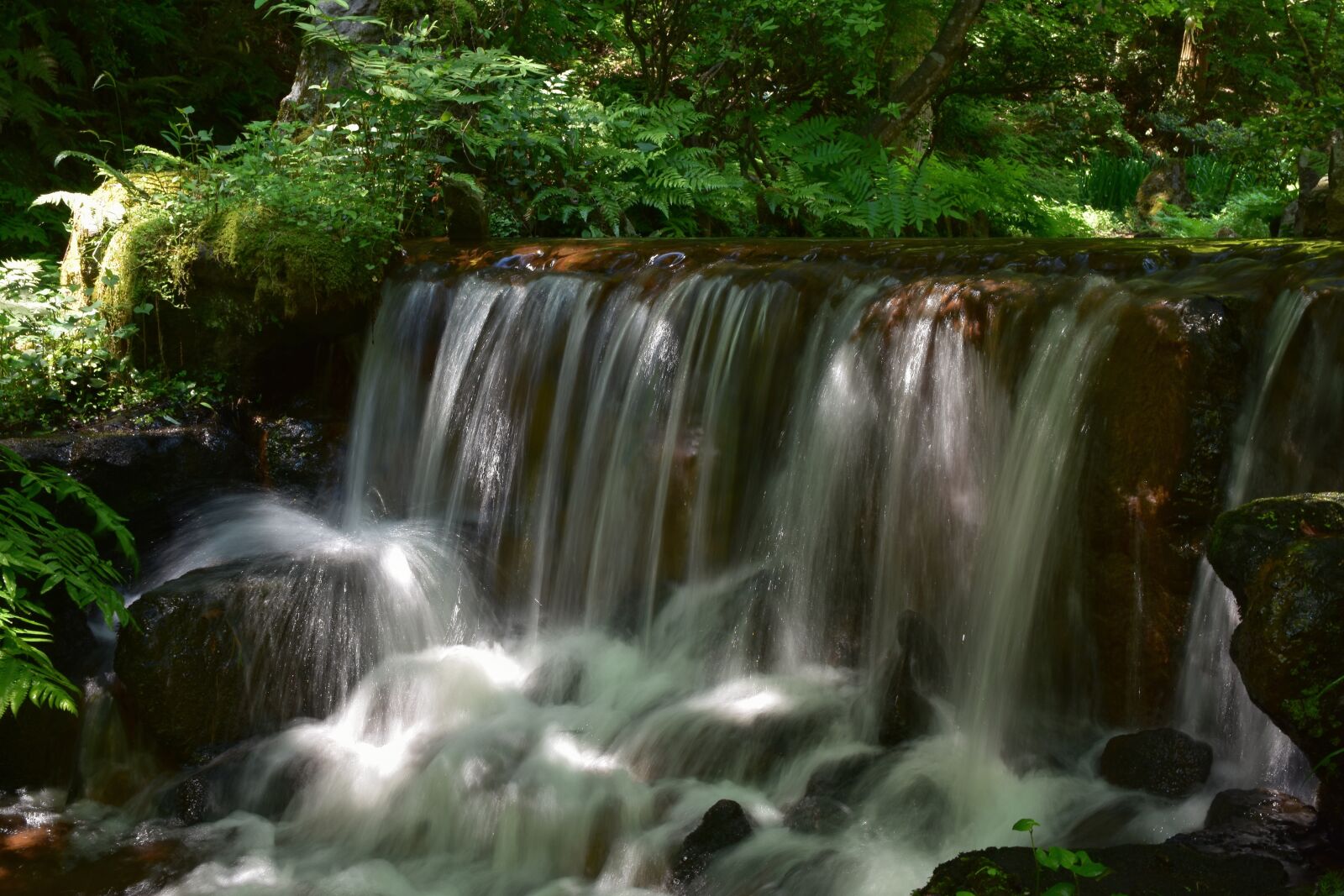 Nikon D7200 sample photo. Natural, landscape, forest photography