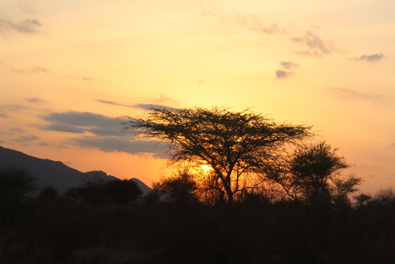 Canon EOS 700D (EOS Rebel T5i / EOS Kiss X7i) sample photo. Sunset, natural, kenya photography