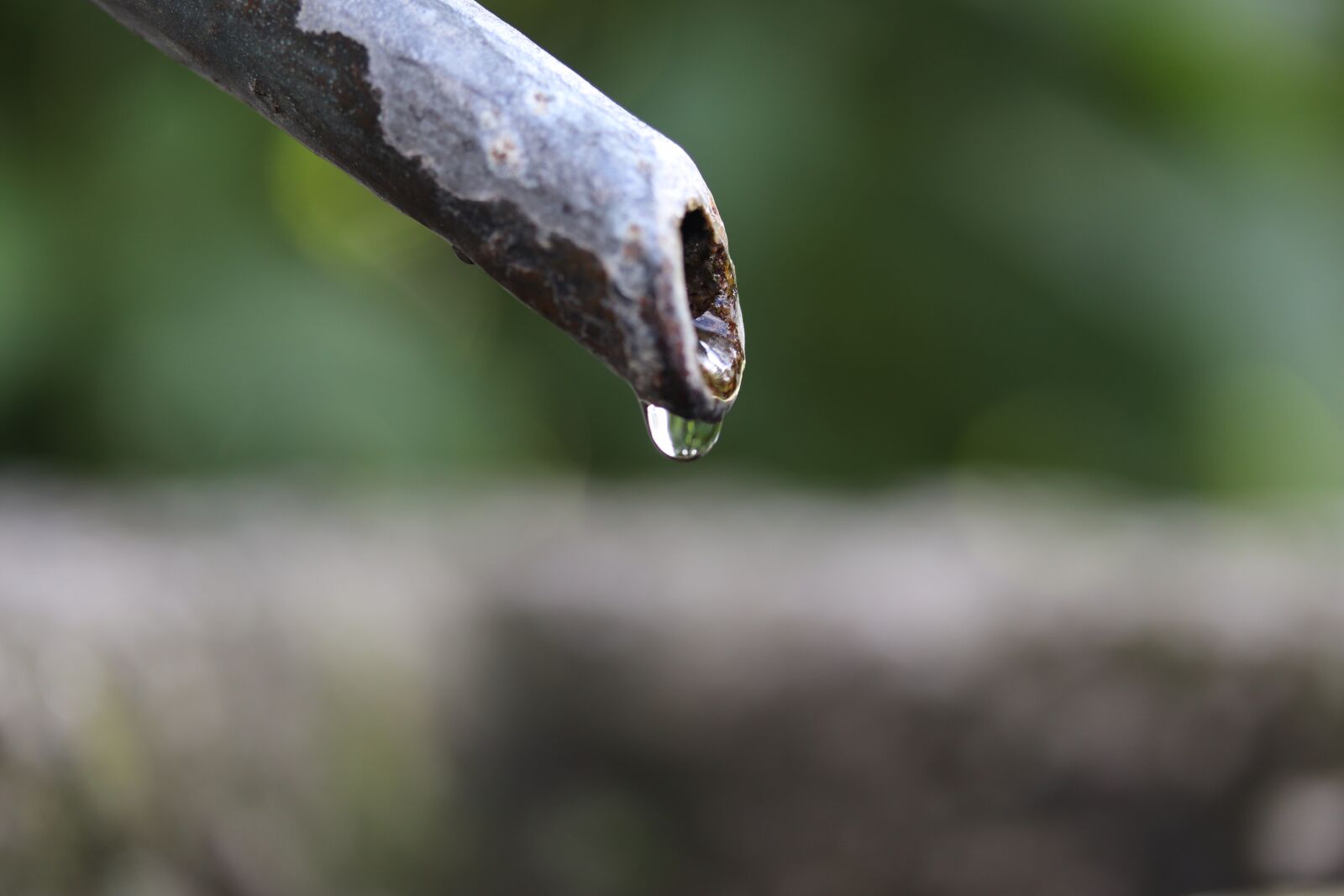 Canon EF-S 60mm F2.8 Macro USM sample photo. Water, drip, drop of photography