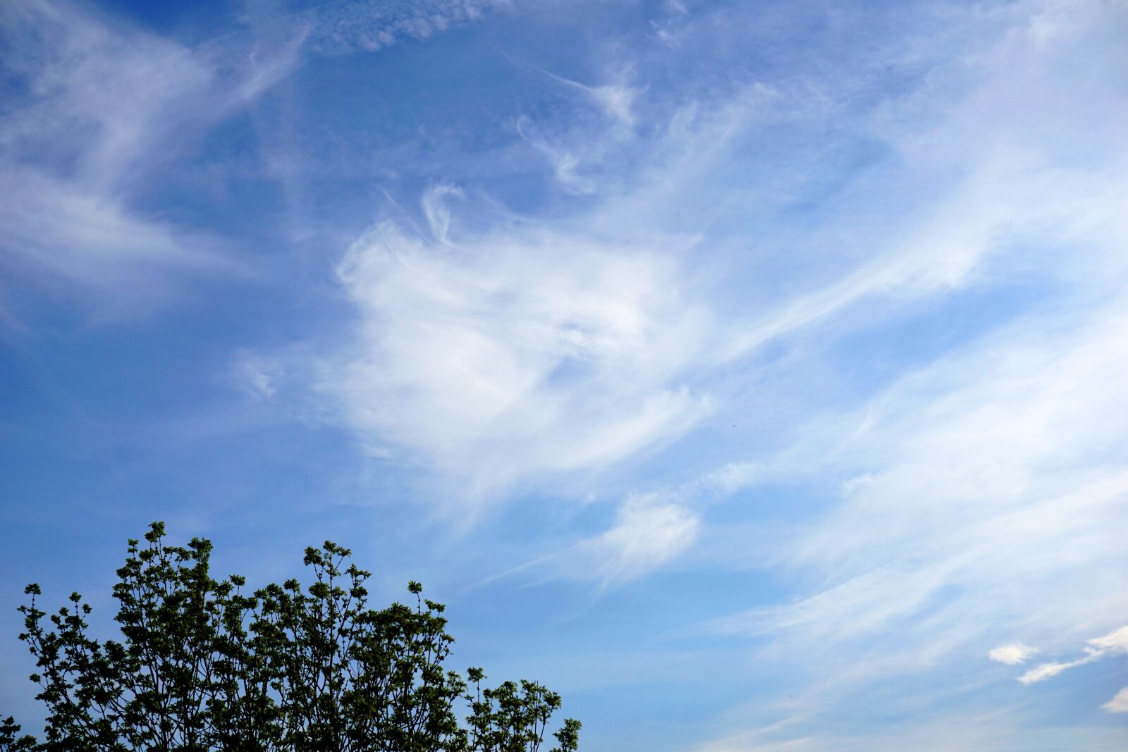 Sony a6000 sample photo. Nature, summer, sky photography