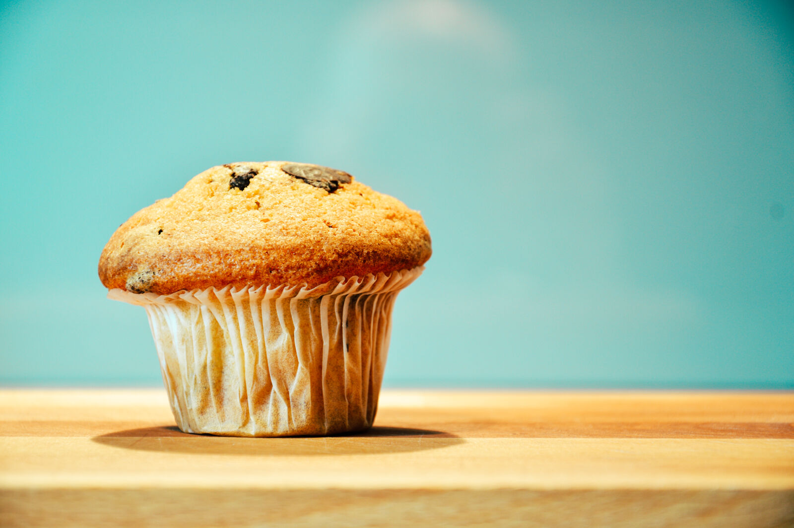 Nikon D3200 sample photo. Muffin photography