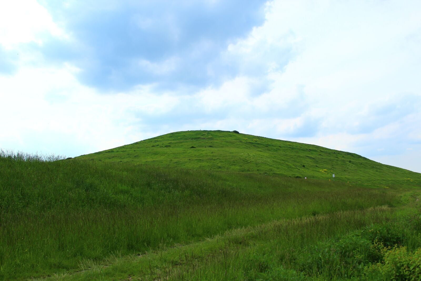 Canon EOS 4000D (EOS Rebel T100 / EOS 3000D) sample photo. Mountain, green, landscape photography