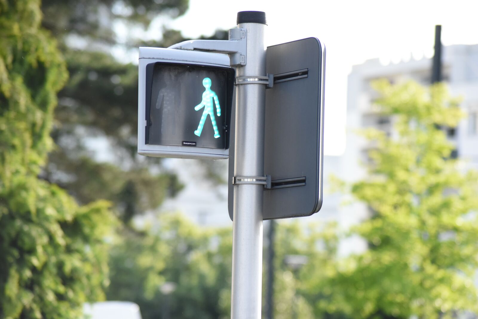Nikon D750 sample photo. Green light, tram, little photography