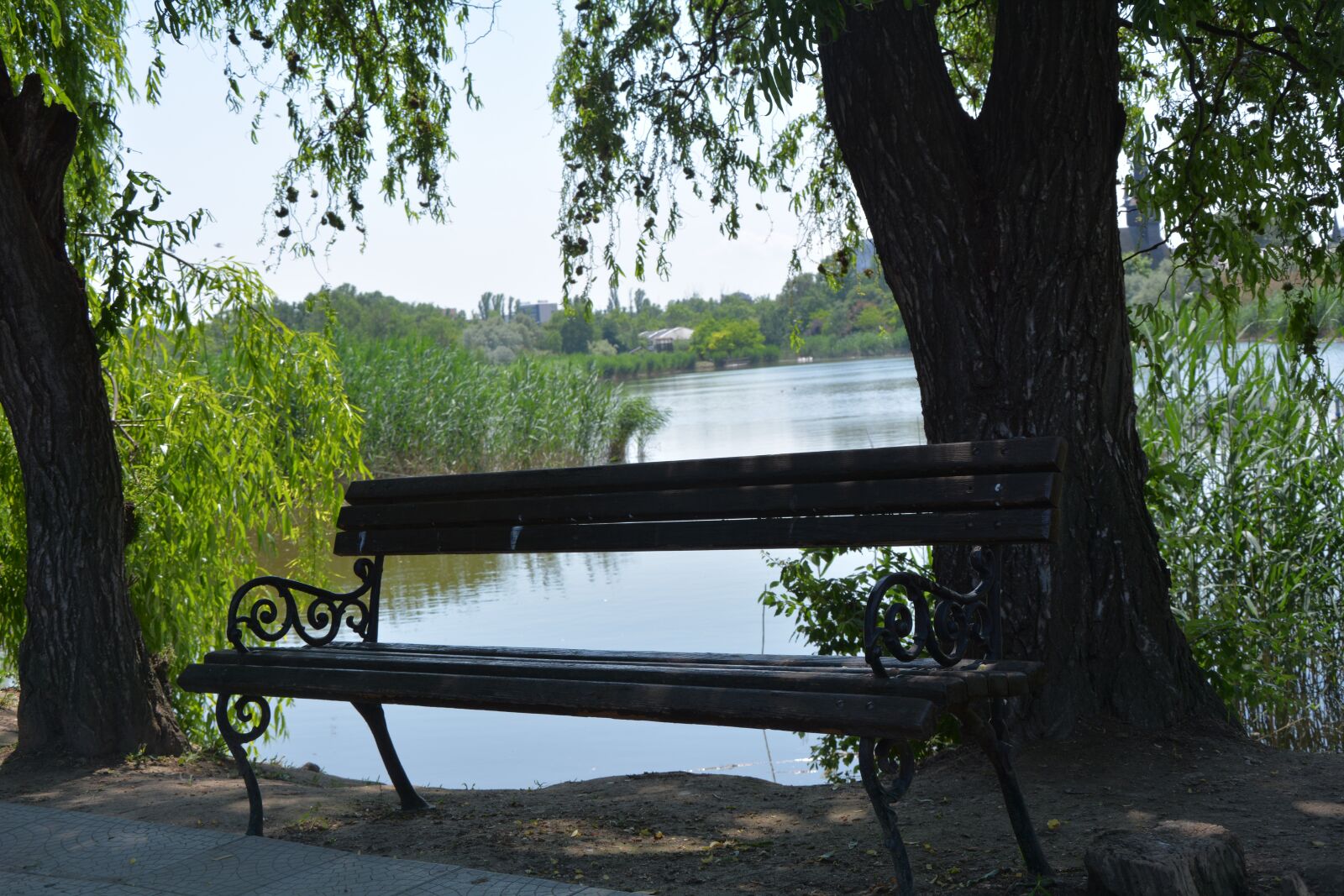 Nikon D7100 sample photo. Lake, bench, tree photography