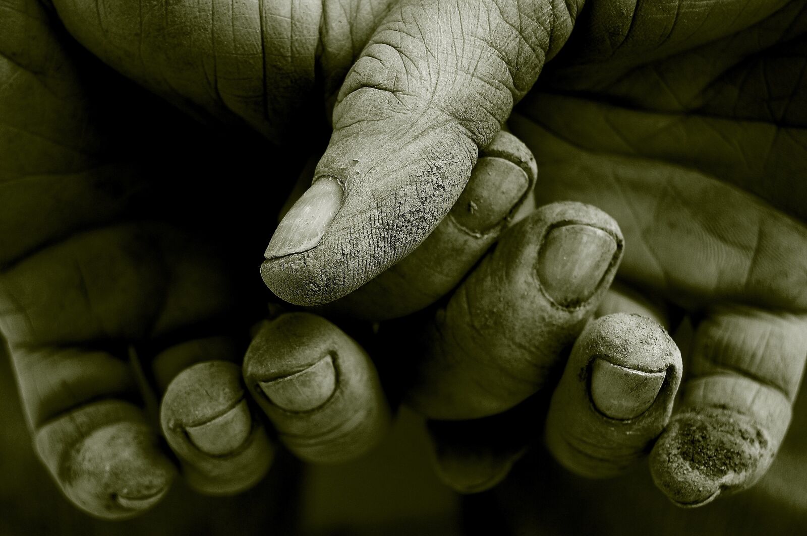 Nikon D40 sample photo. Hands, work, finger photography