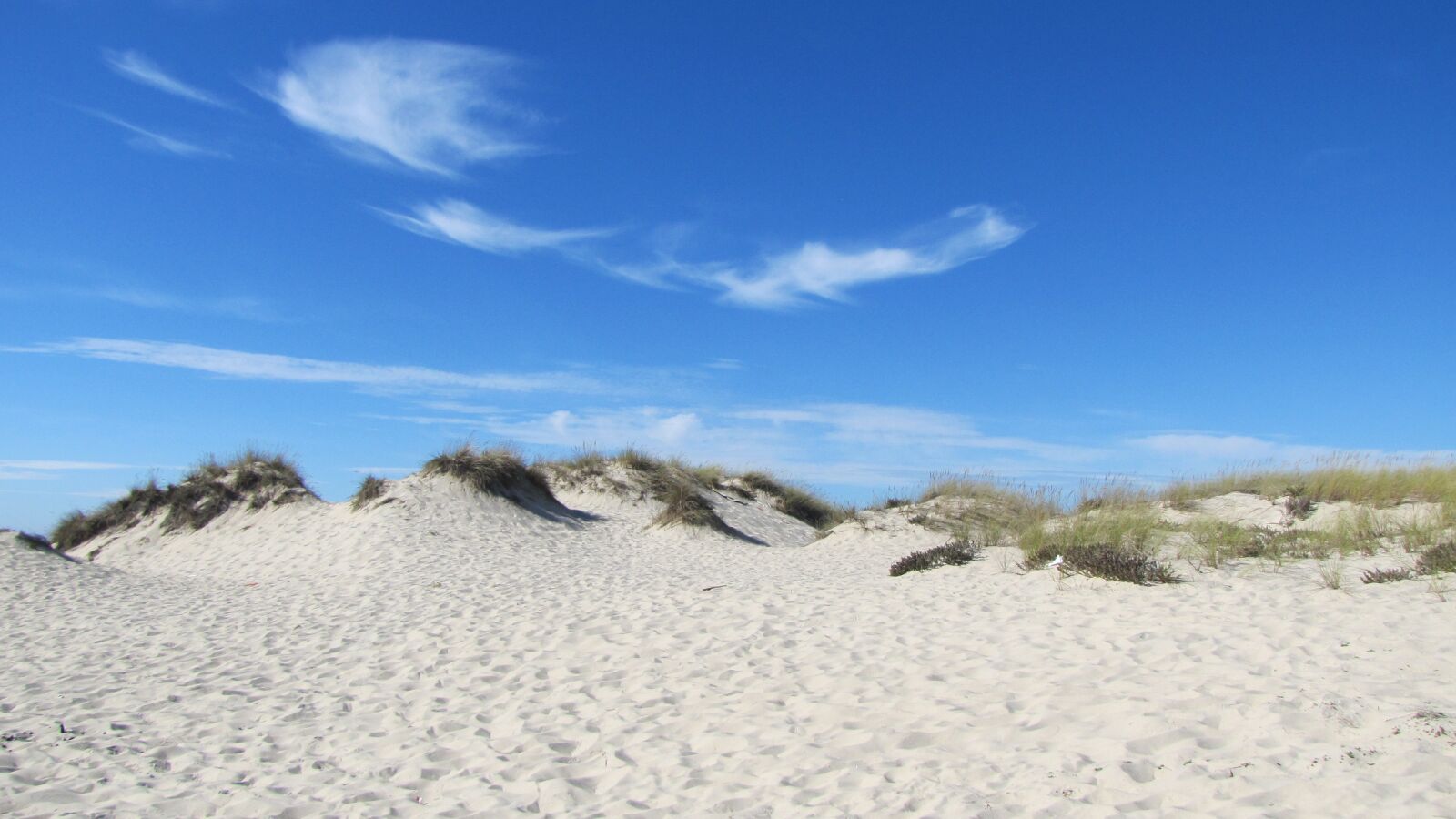 Canon PowerShot SX20 IS sample photo. Beach are hyacinth, portugal photography