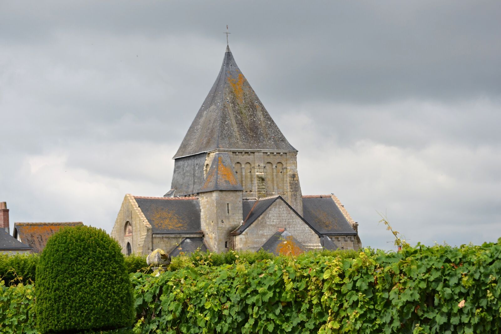 Nikon D3100 sample photo. Villandry, gardens, medieval photography