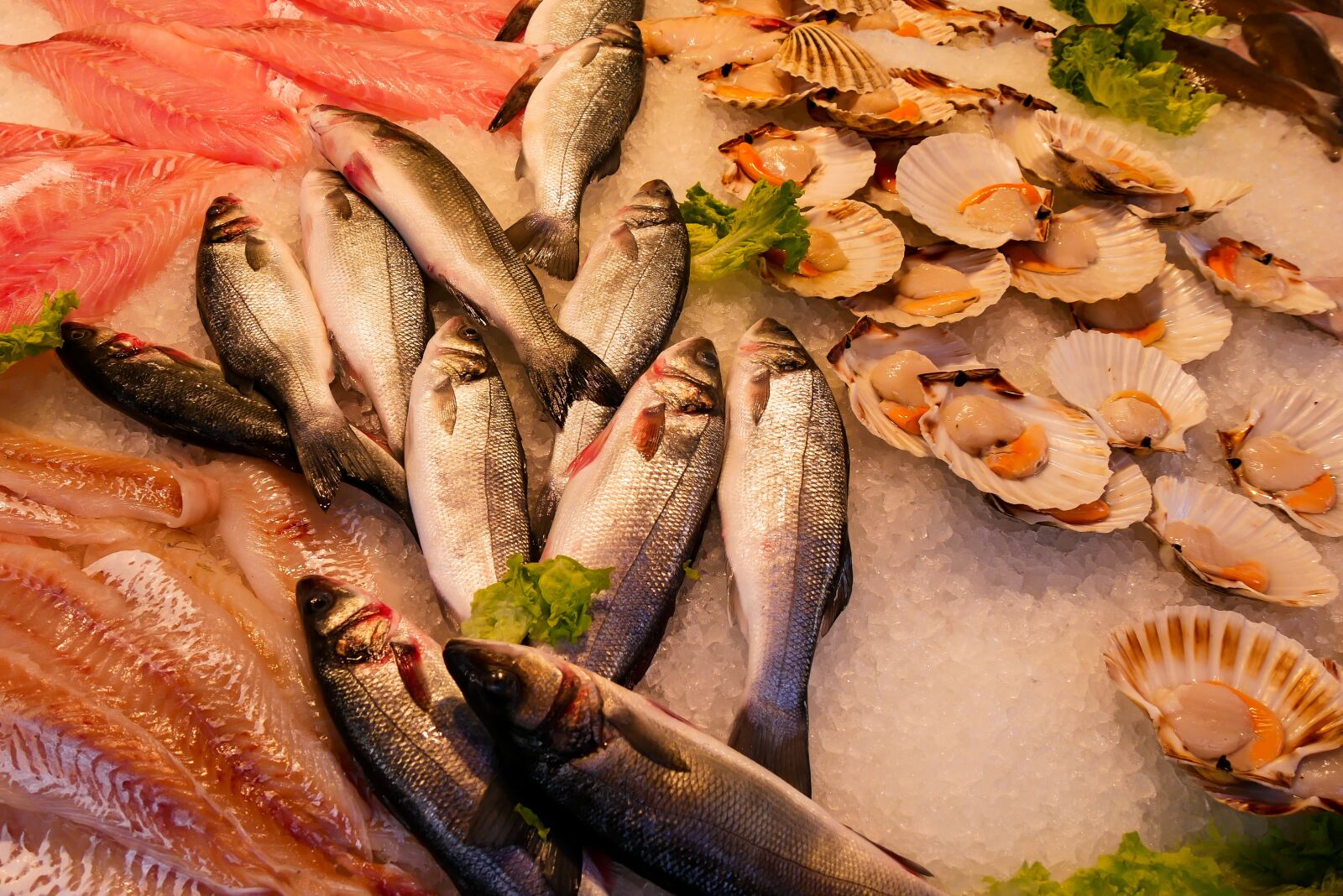 Panasonic DMC-G70 sample photo. Eat, fish, seafood photography