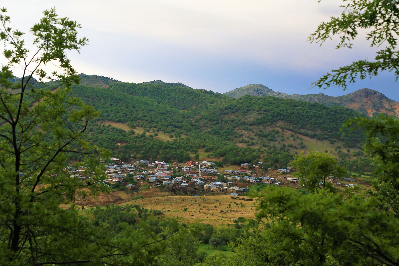 Canon EF 24-105mm F4L IS USM sample photo. Landscape, village, mesudiye photography