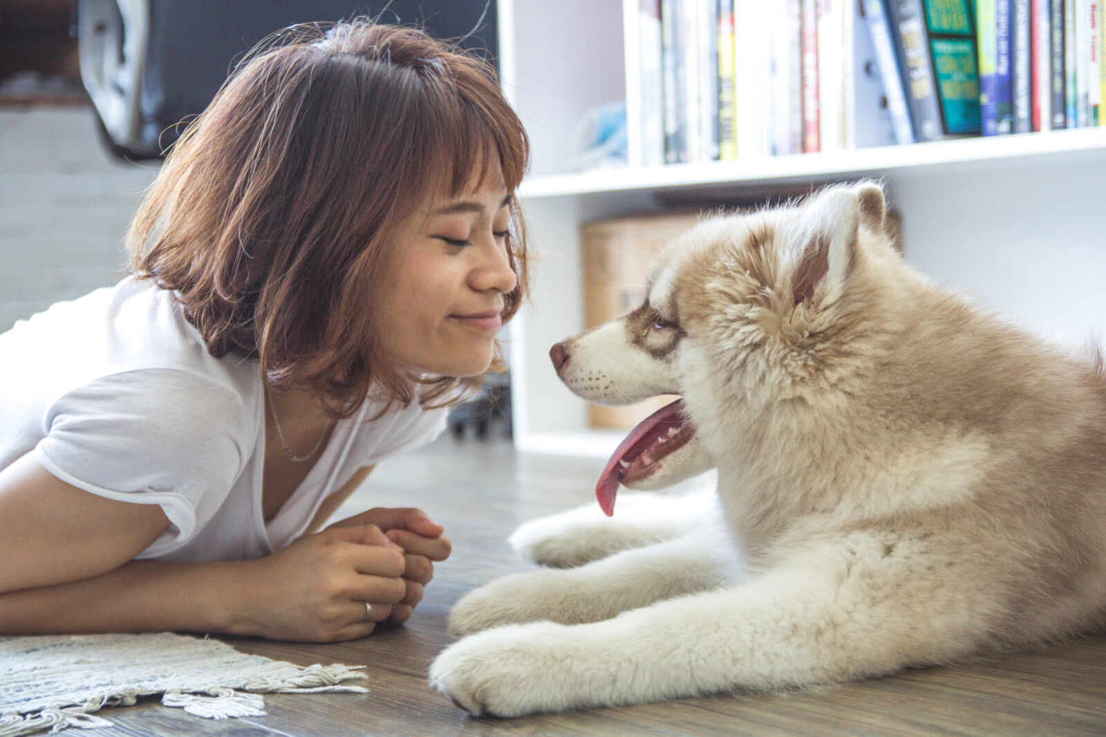 Canon EF-S 17-55mm F2.8 IS USM sample photo. Woman, girl, animal, dog photography