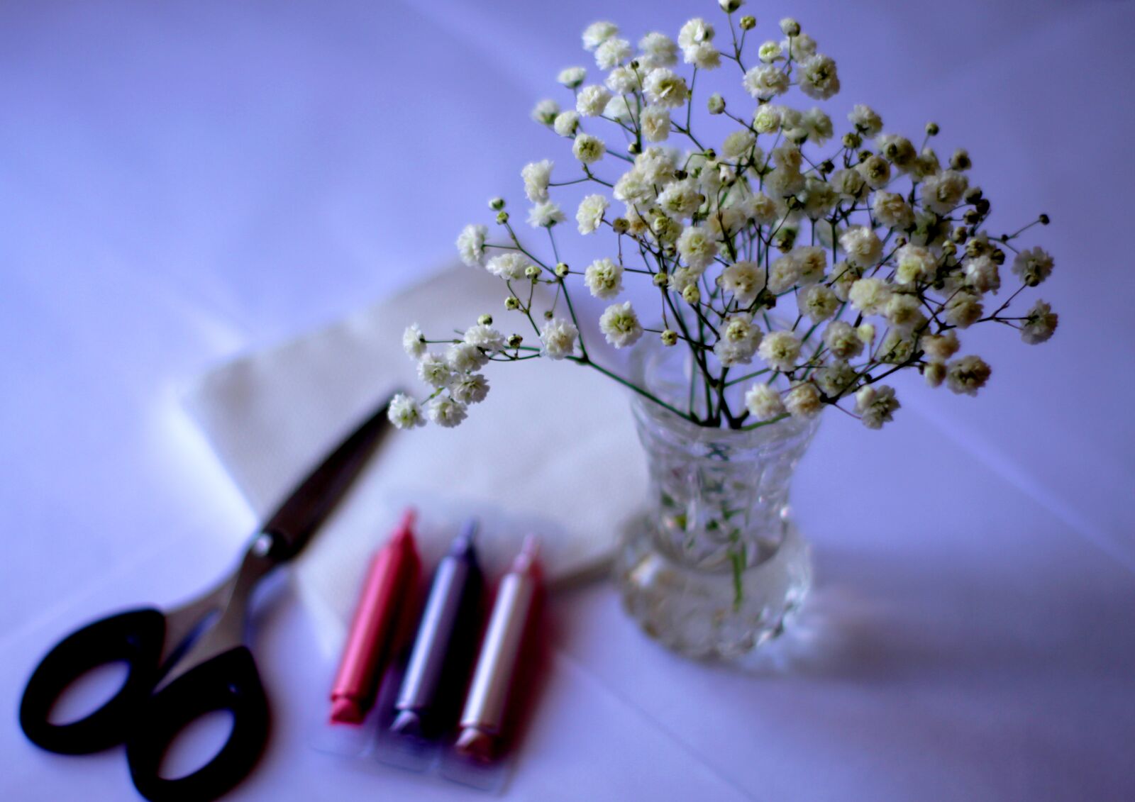 Canon EOS 1200D (EOS Rebel T5 / EOS Kiss X70 / EOS Hi) sample photo. Odd job, background, flowers photography