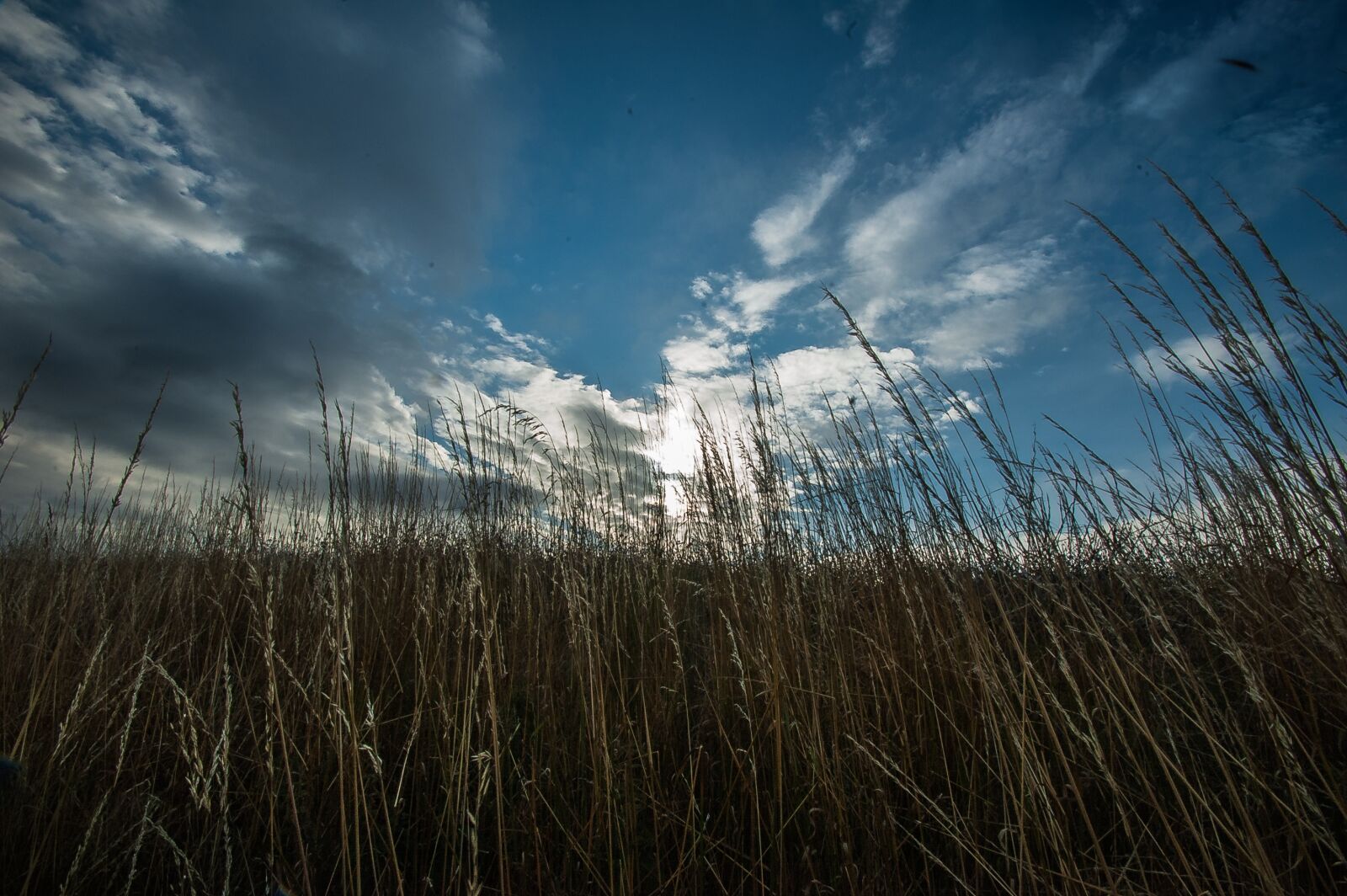 Nikon D70 sample photo. Grass, clouds, horizon photography