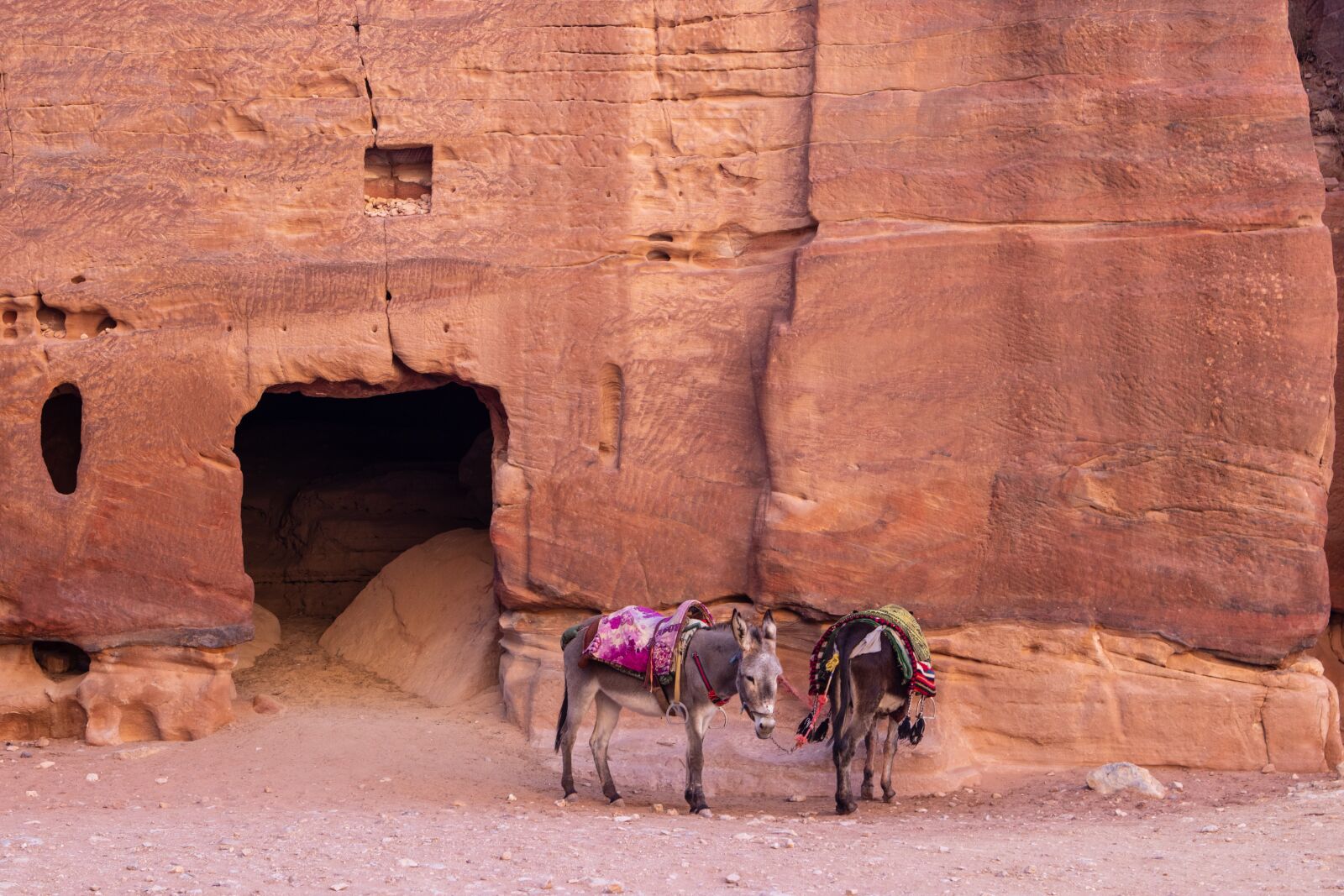 Canon EOS 200D (EOS Rebel SL2 / EOS Kiss X9) sample photo. Petra, donkeys, ruins photography